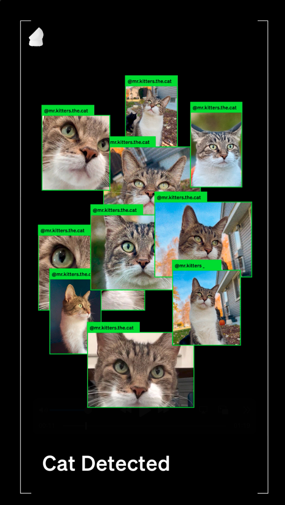 PetLibro OOH campaign