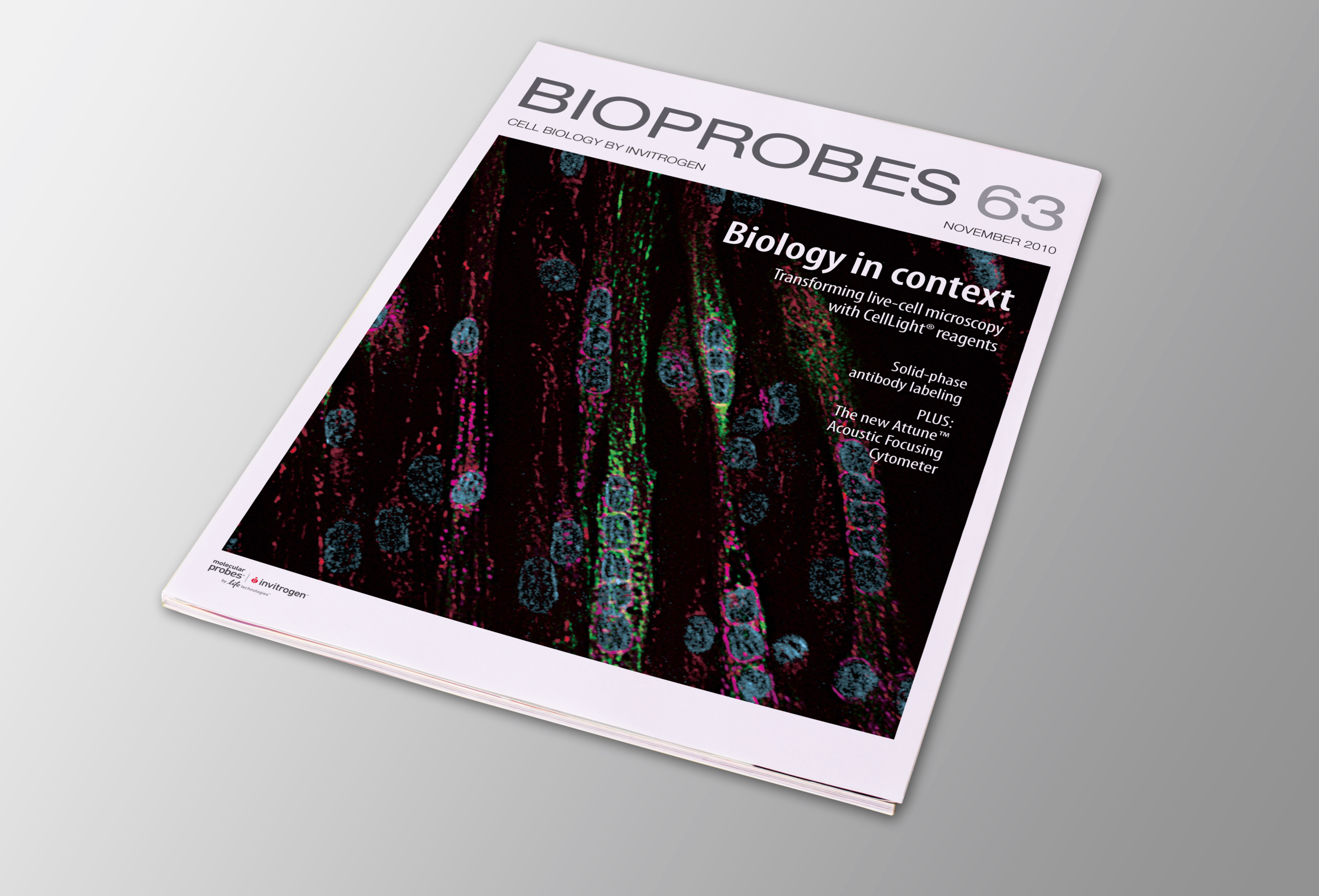 bioprobes-cover.png