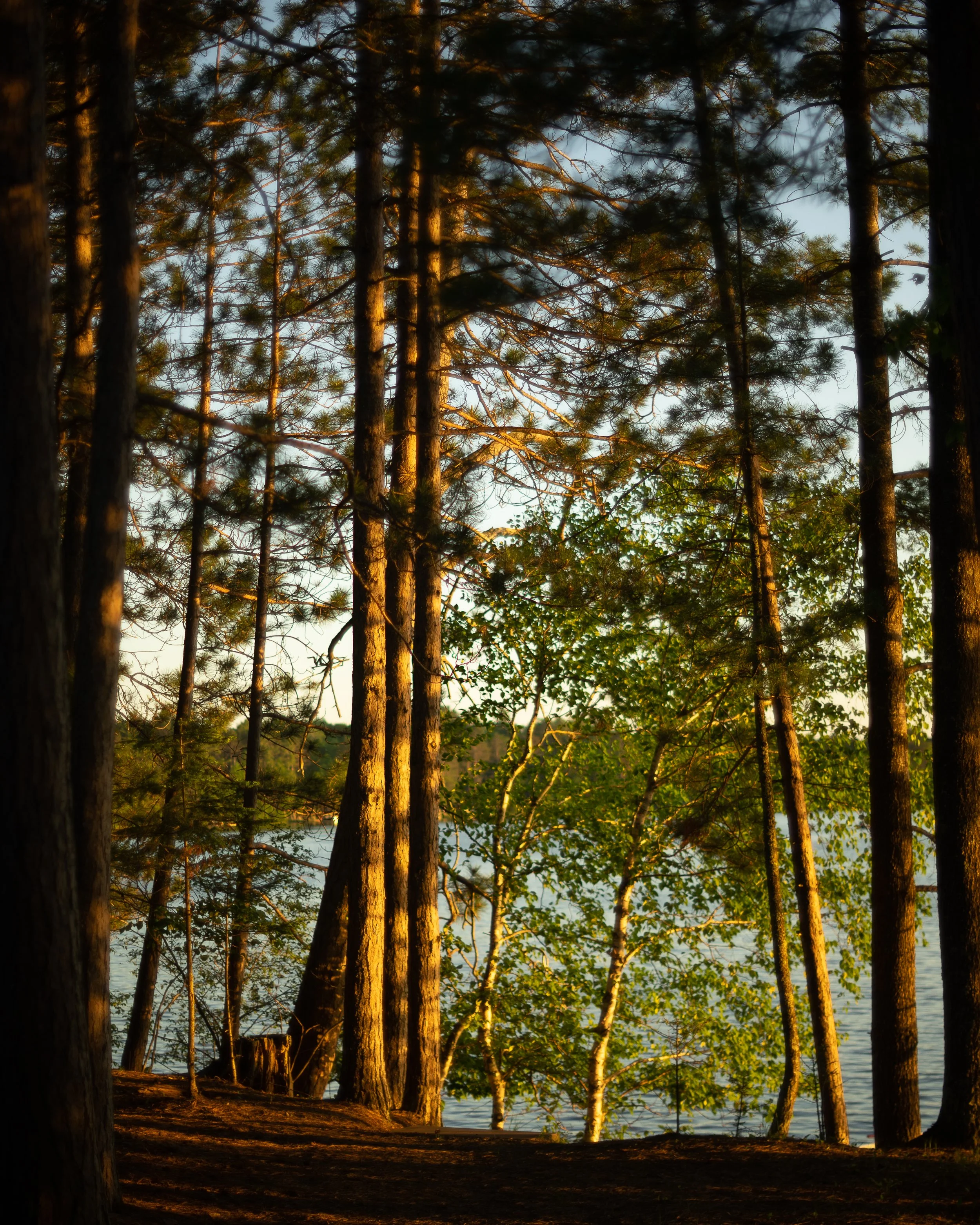 20200608-_DSC0169.jpg