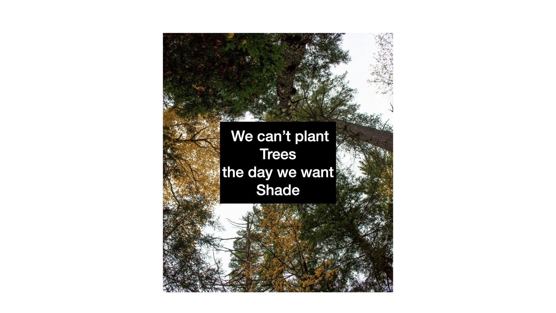 ‎Deerskin Annual Mtg 2023.‎003.jpeg