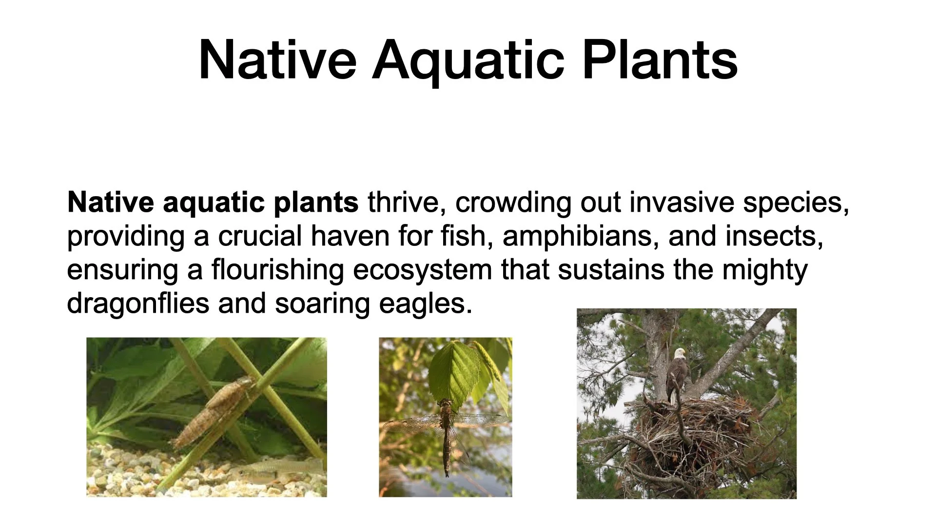 ‎Deerskin Annual Mtg 2023.‎007.jpeg