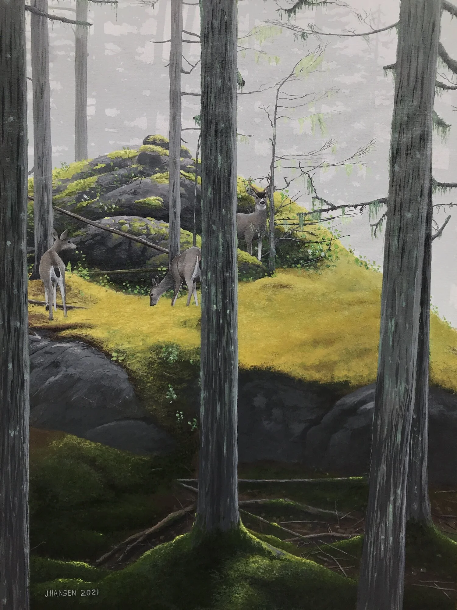 Black-tailed Deer Winter Range