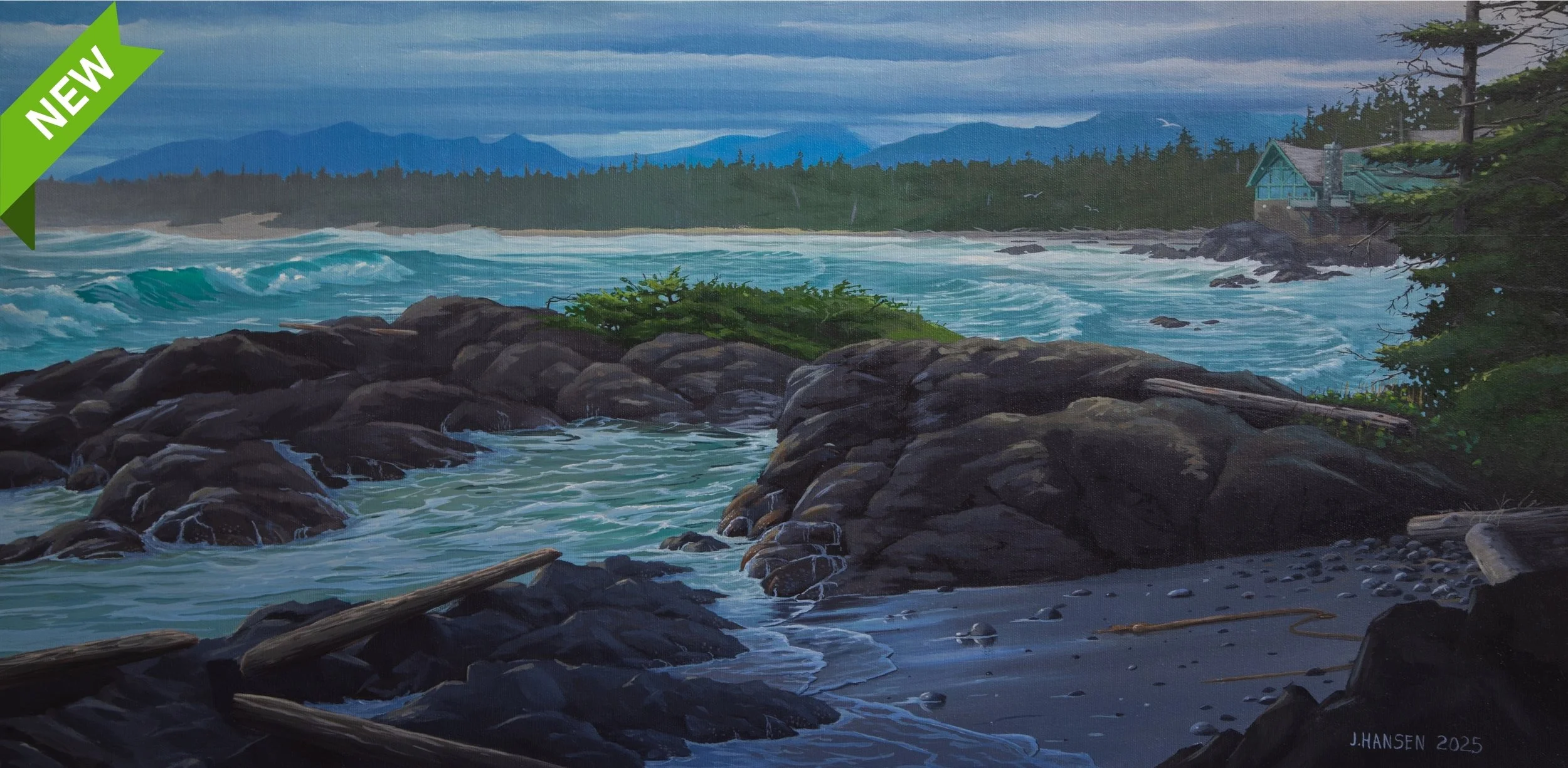 January Seas At Wick