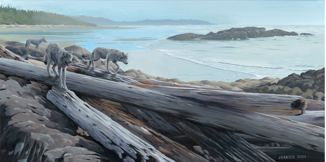 Green Point Dawn Patrol