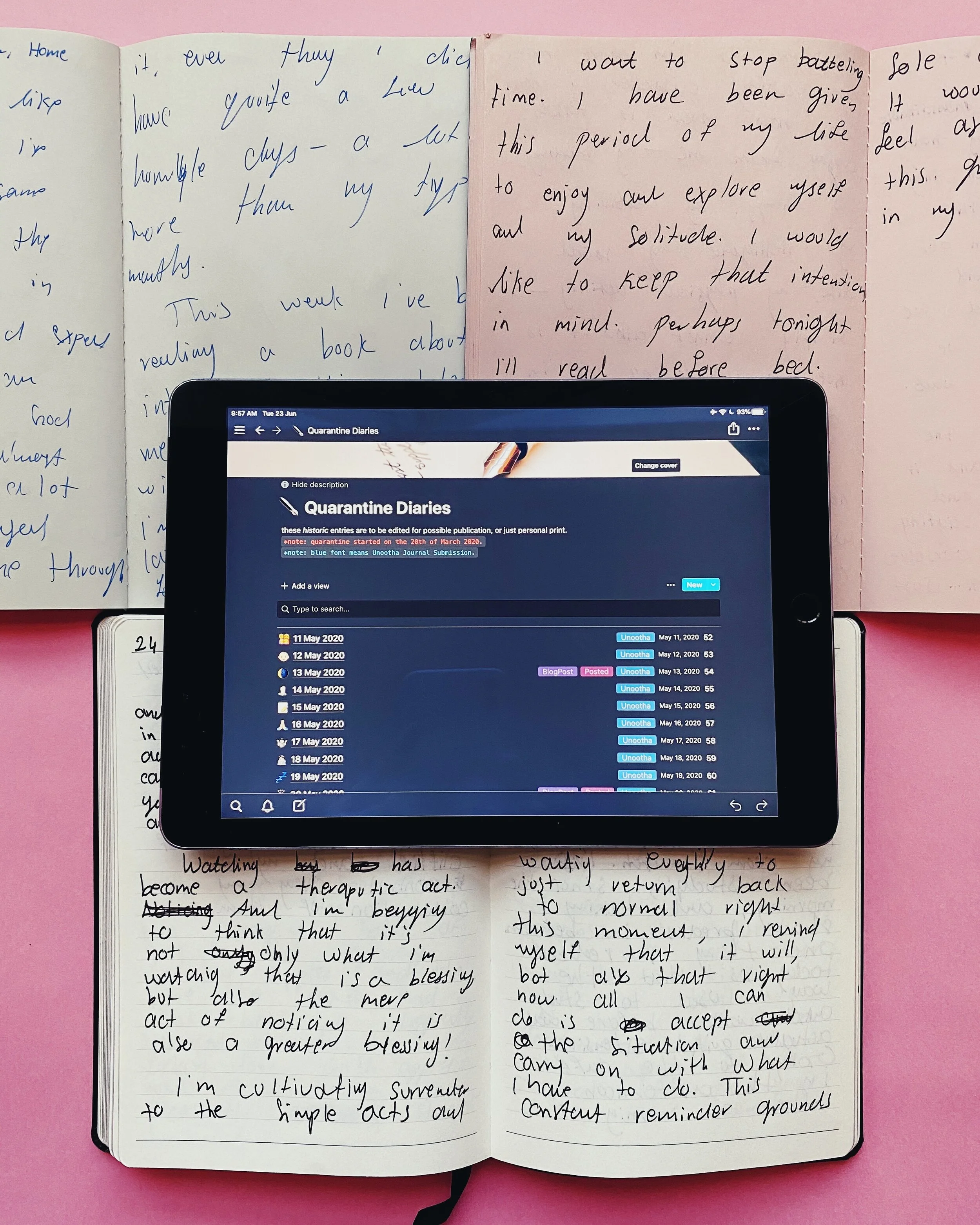 Excerpts From My Quarantine Journal