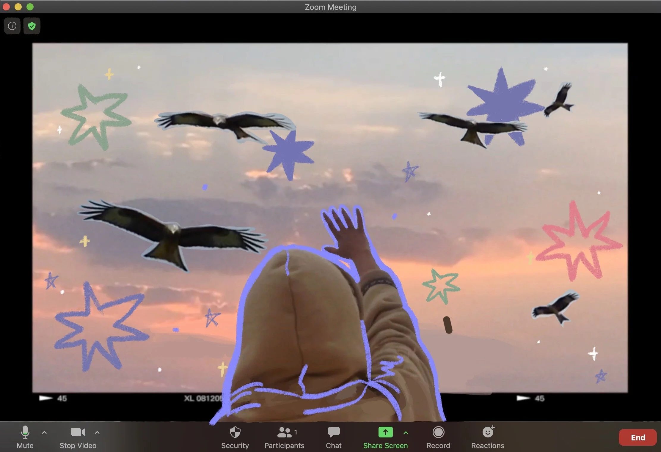 A Zoom Call with Deema: My Rooftop and the Sky