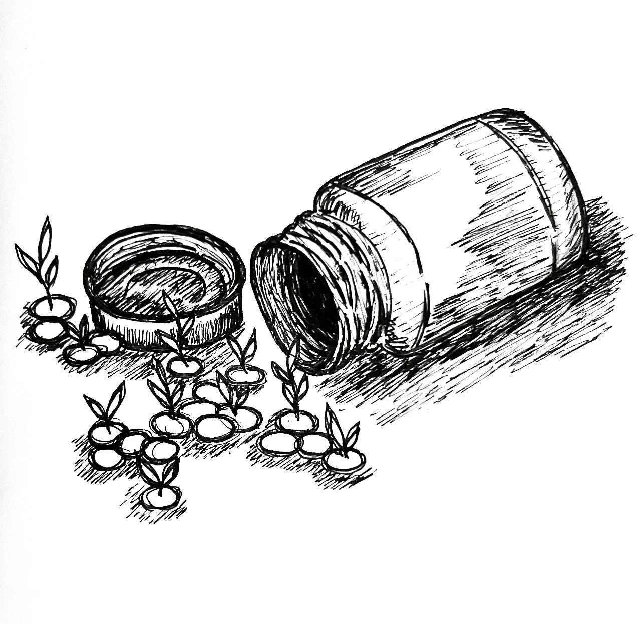On Swallowing Seeds