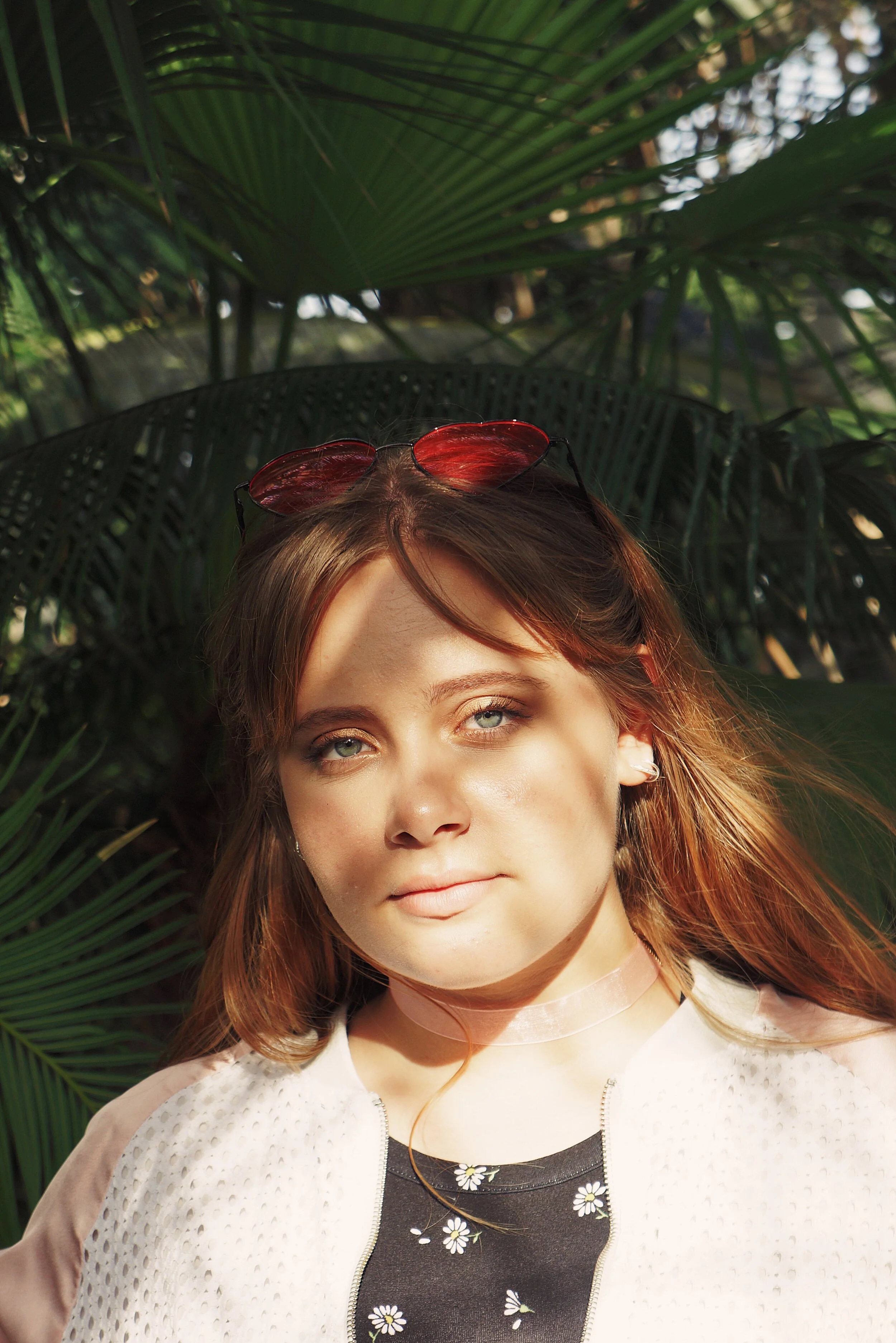 sunlight.jpg