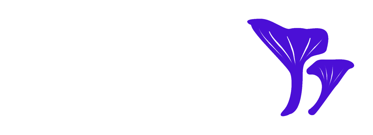Black Moon LLC