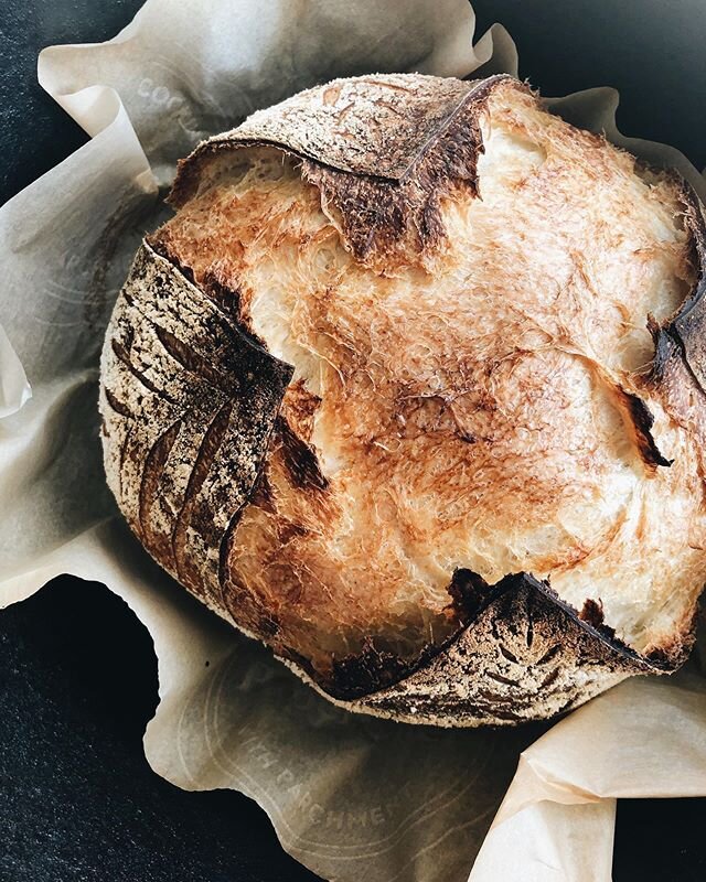 fresh bread in morning light ✨