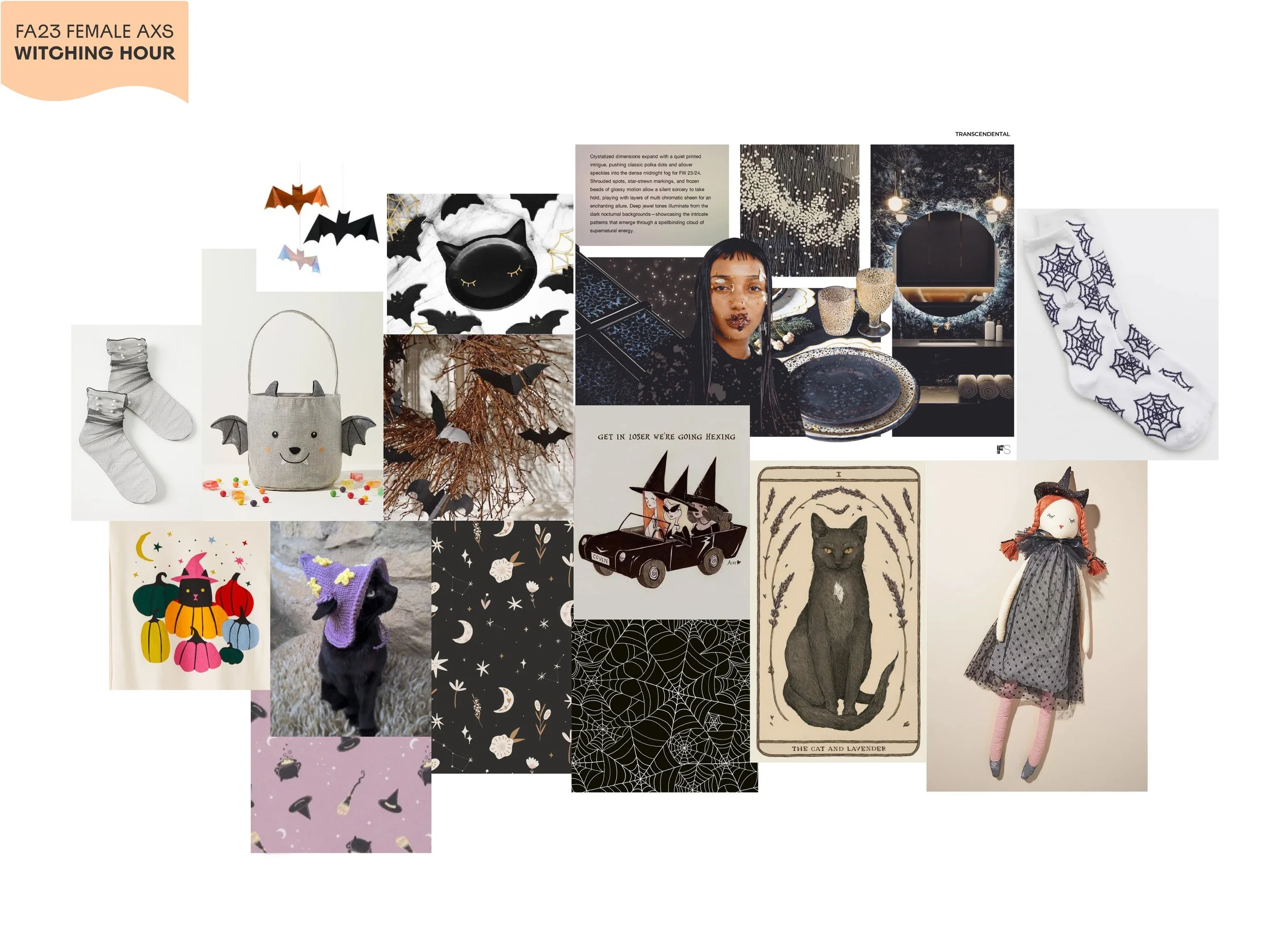🍂👻🧦 FA23 _ FEMALE AXS + FASTLANES - Frame 2999.jpg