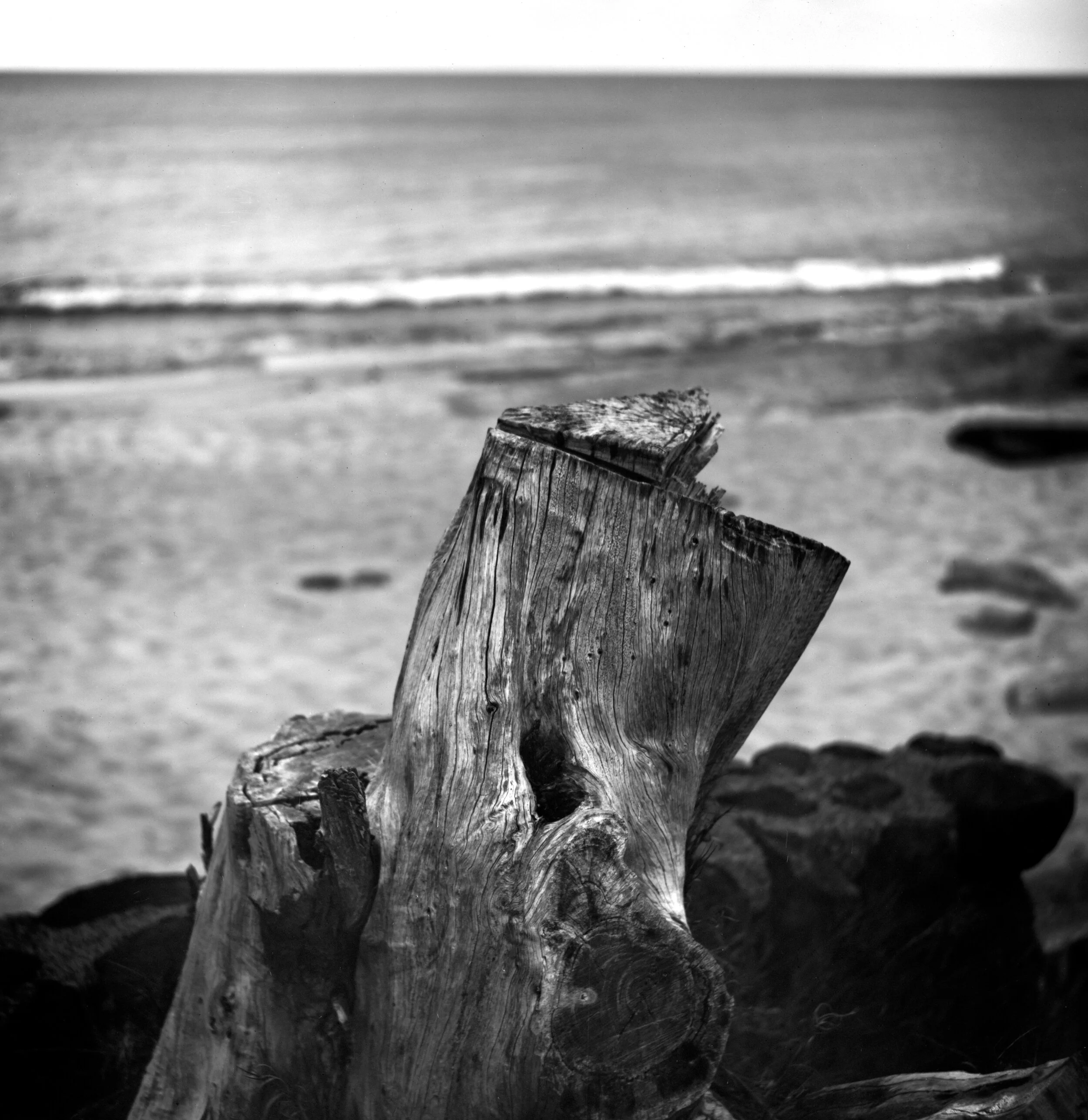 Lubitel 166+, Arista Ortho Litho@20 ISO, PFS-4, Dektol 1+20