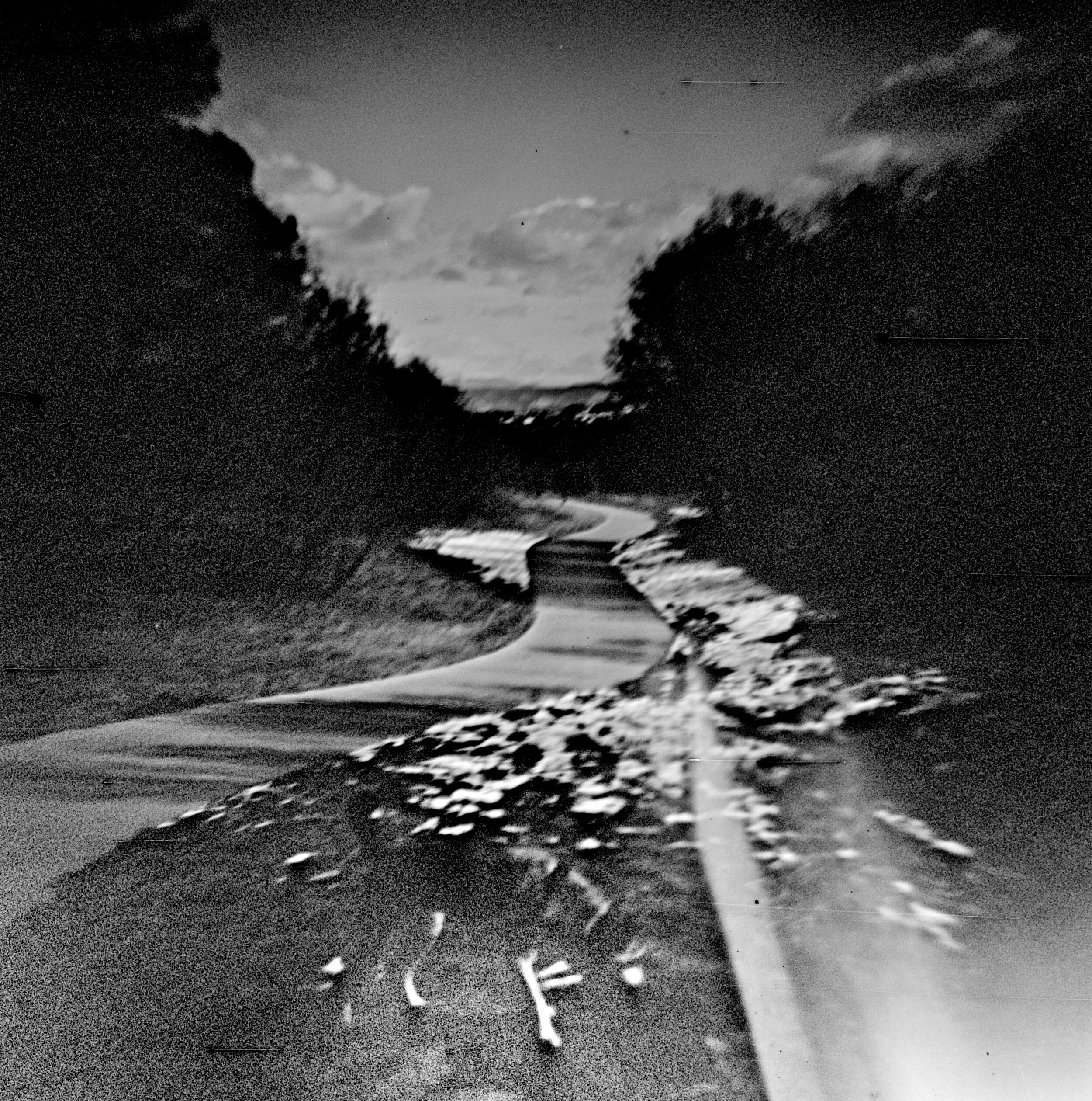 Diana F (original), Arista Ortho Litho, ISO ~25, PMK 1+1+100 stand developed