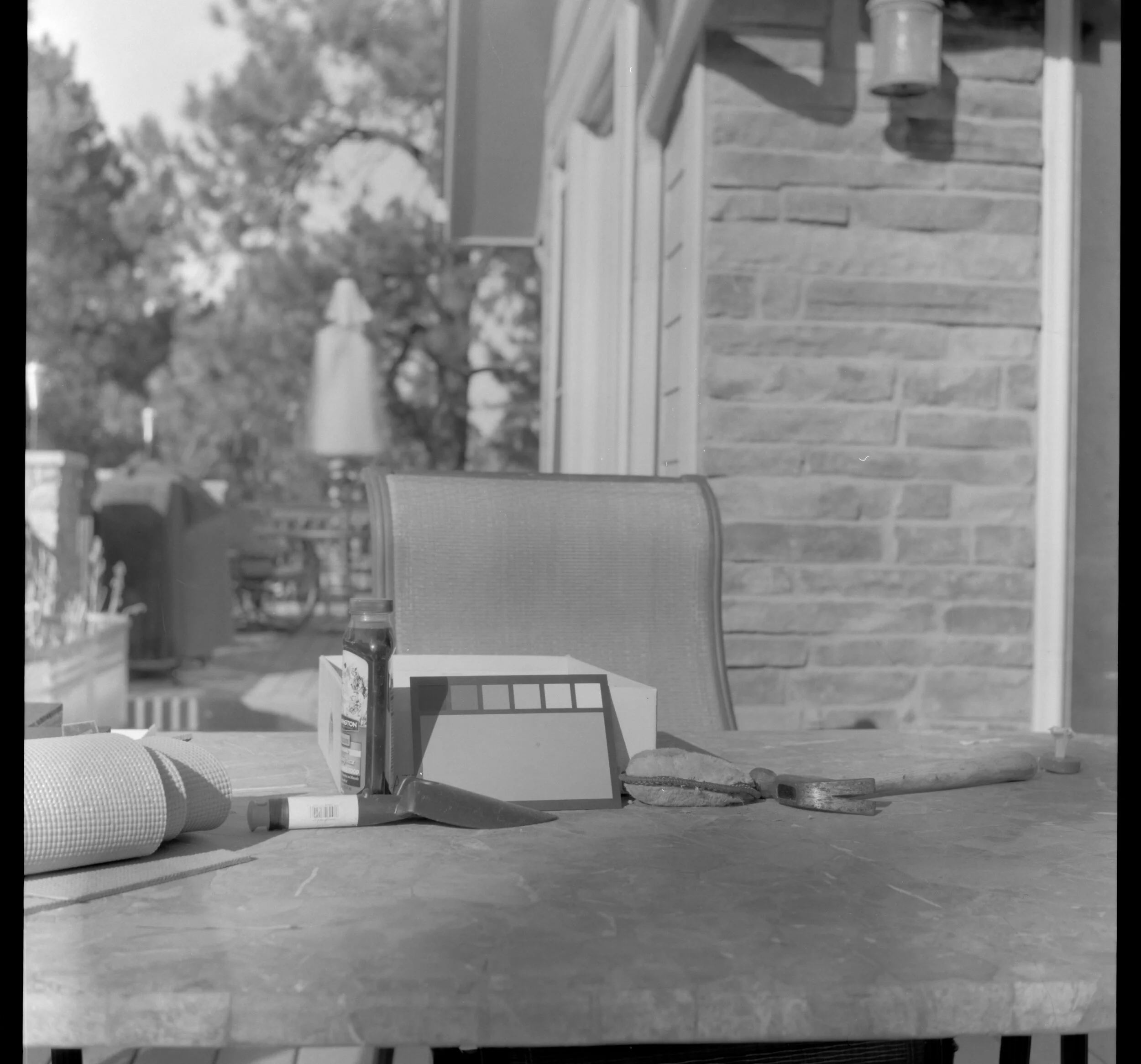 Yashica Mat 124G, Arista Ortho Litho, 1.5 ISO, DD-X 1+19 9m30s