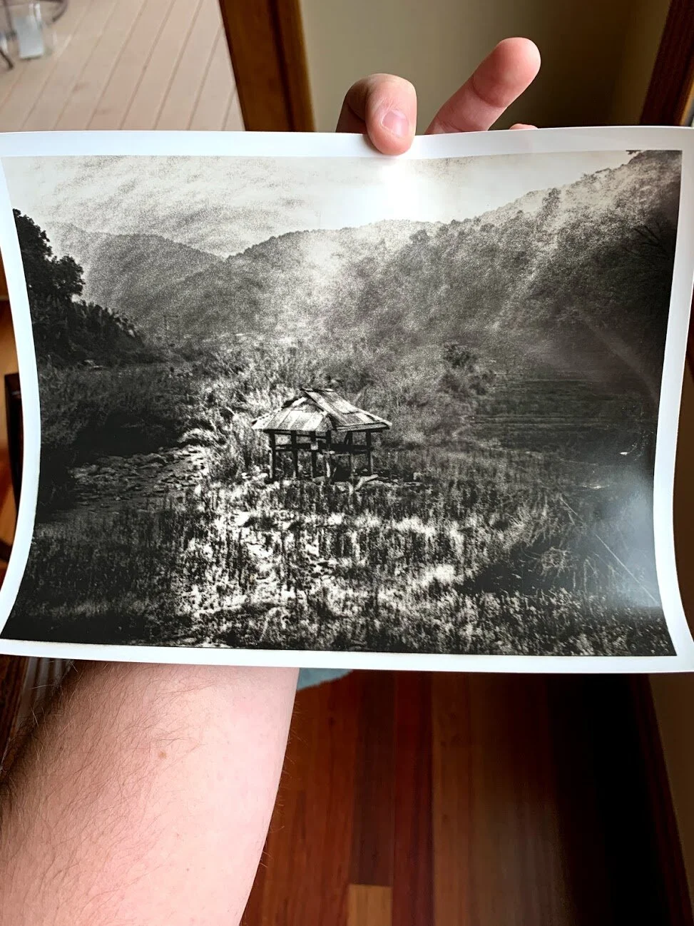 Ortho Litho Film Processing Reference — Grainy Vision