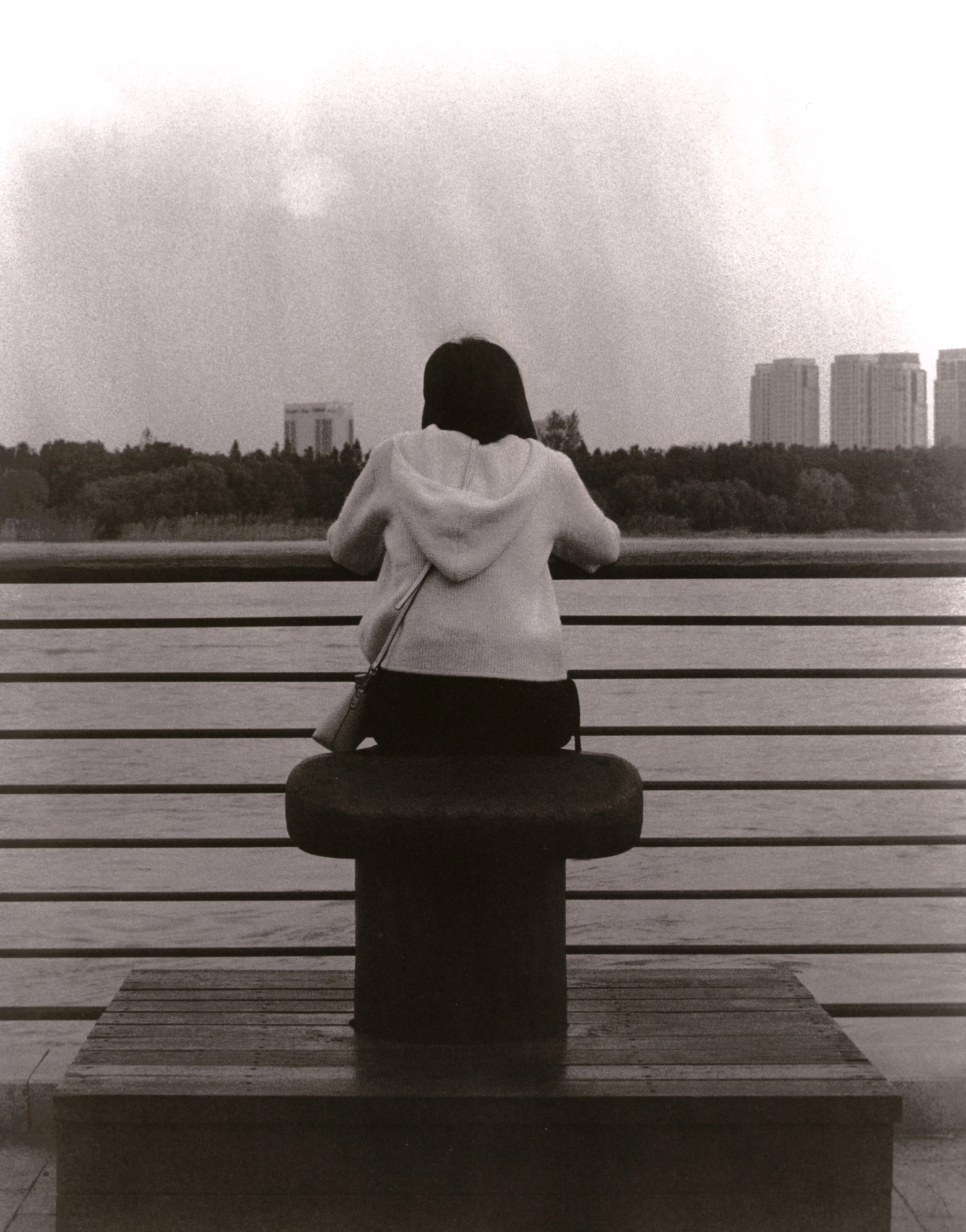 Ilford MGV RC printed 9s at f/11 from (cropped) Delta 3200 645 negative. Developed initially in Liquidol, then bleached slightly and fixed, then bleached up until blacks and lith developed in very well used minimal sulfite HQ+TEA lith developer