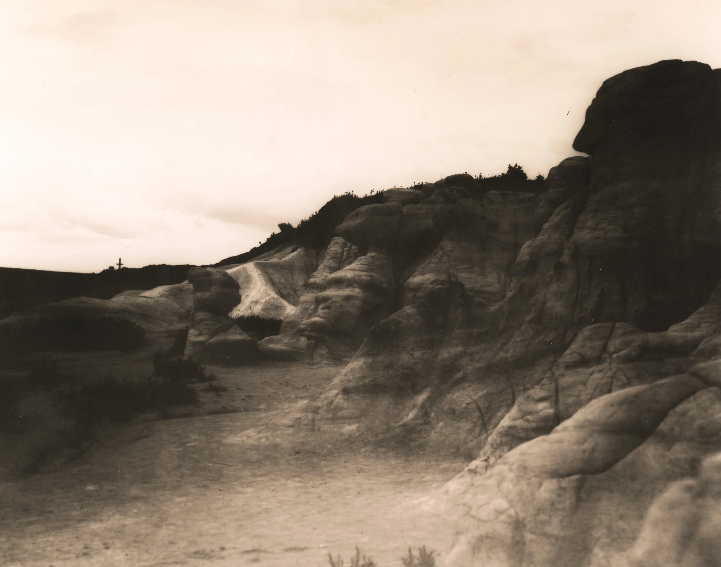 “EXF1D” (before toning), Ilford Cooltone RC in Pharoh Lith from 645 ortho litho negative