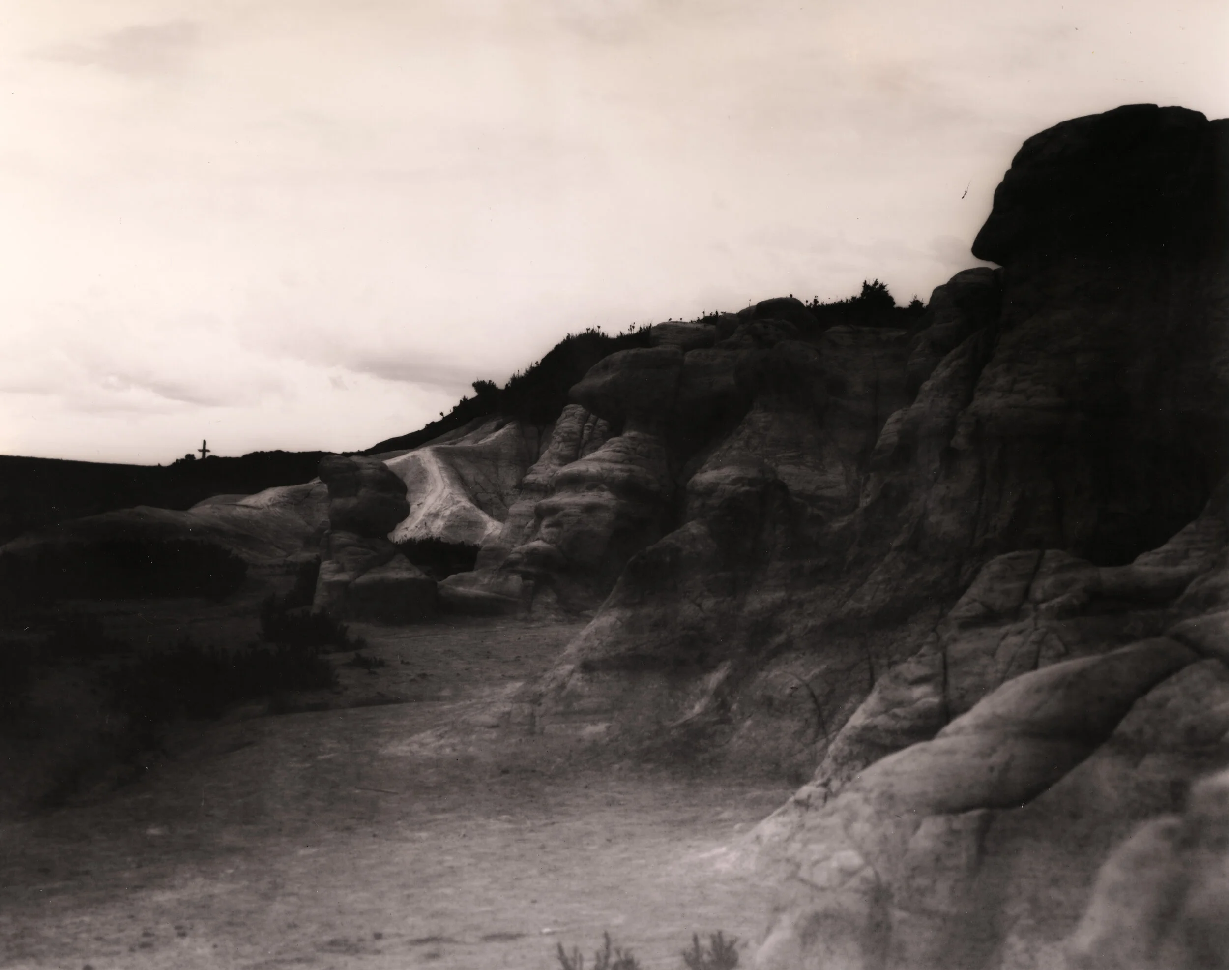 “EXF1D” partial selenium toned
