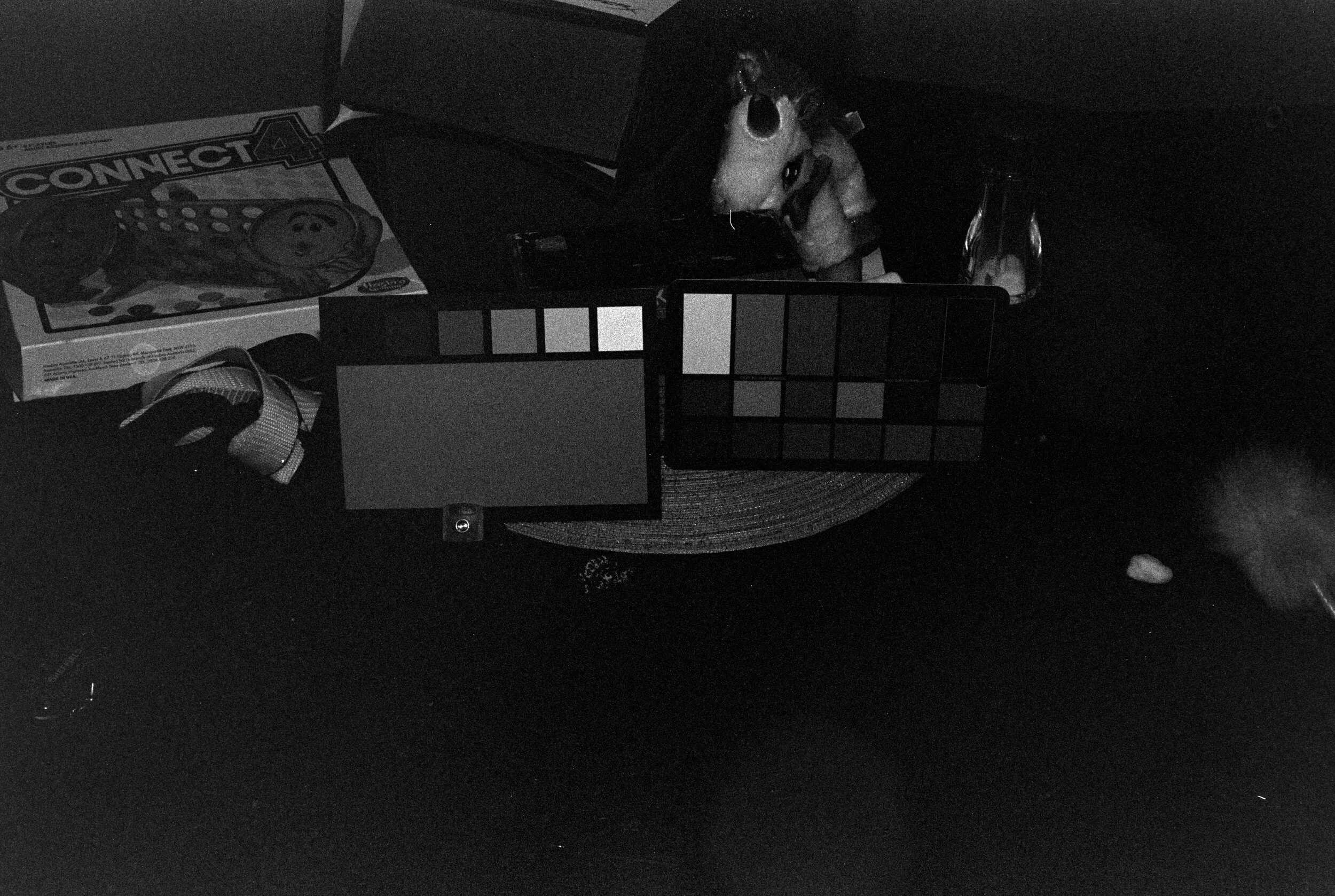FP4+, ISO 1600(ish.. may not be exact)