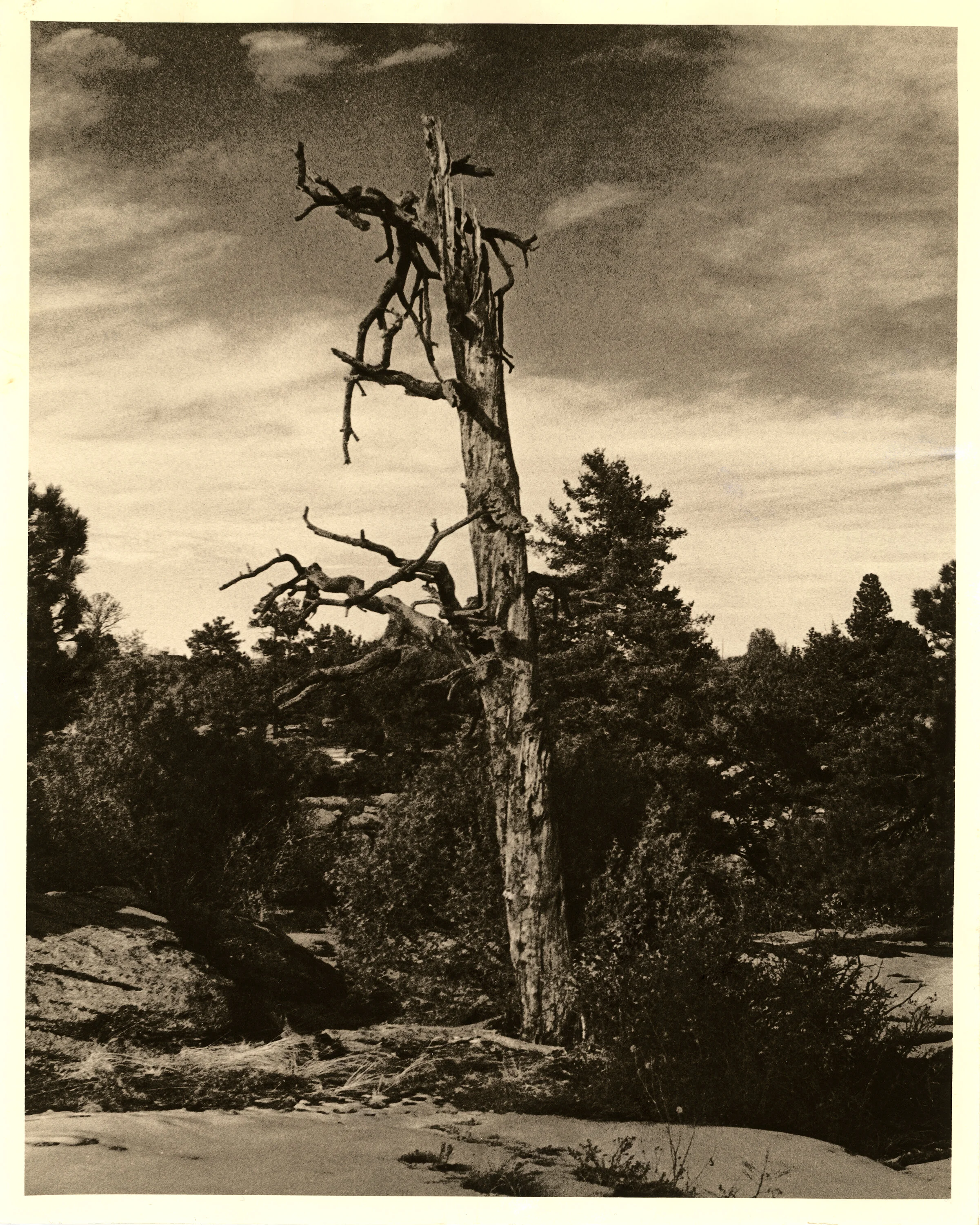 8x10 Ilford Warmtone FB in ModernLith-MOD2, showing minor edge staining. Was developed in warm developer