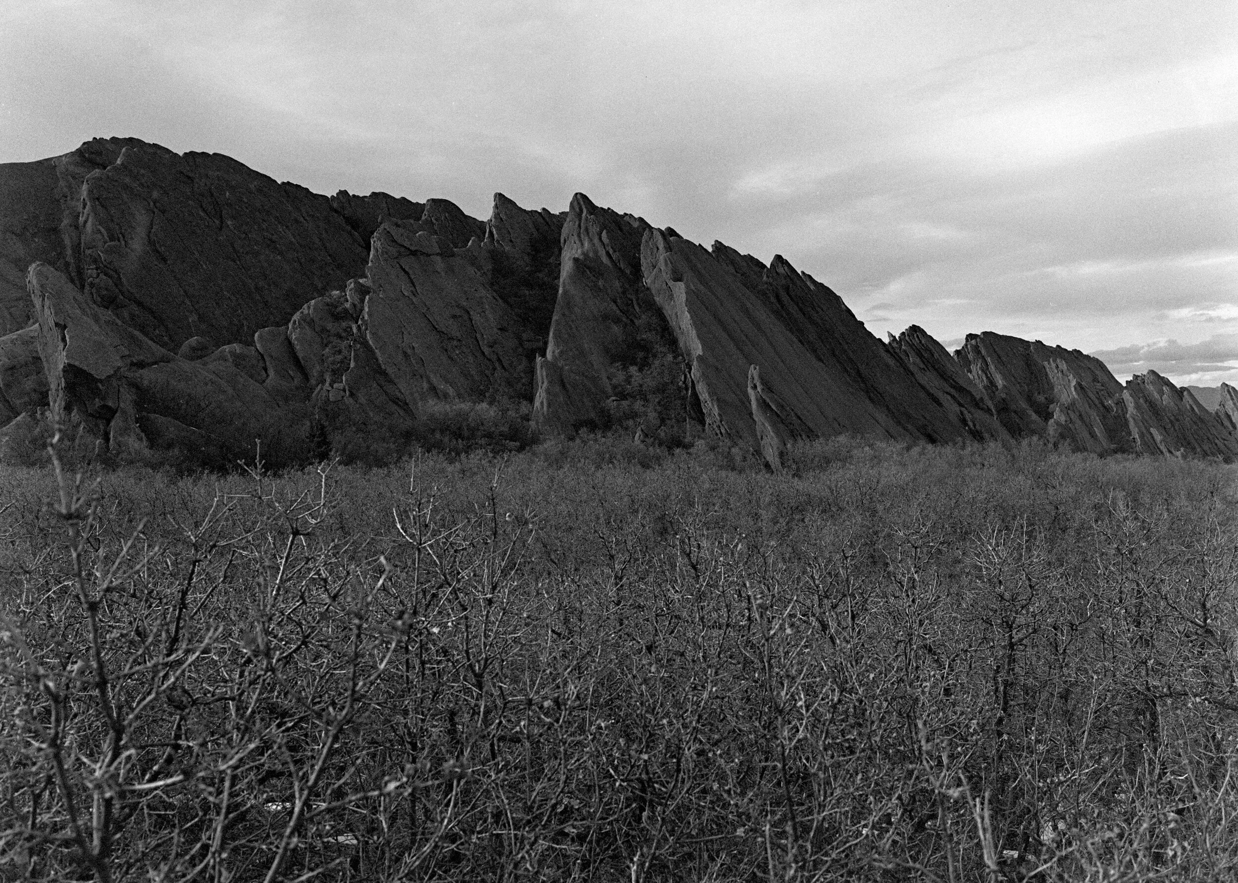 Kodak Plus-X in 6x4.5 developed in EXG1