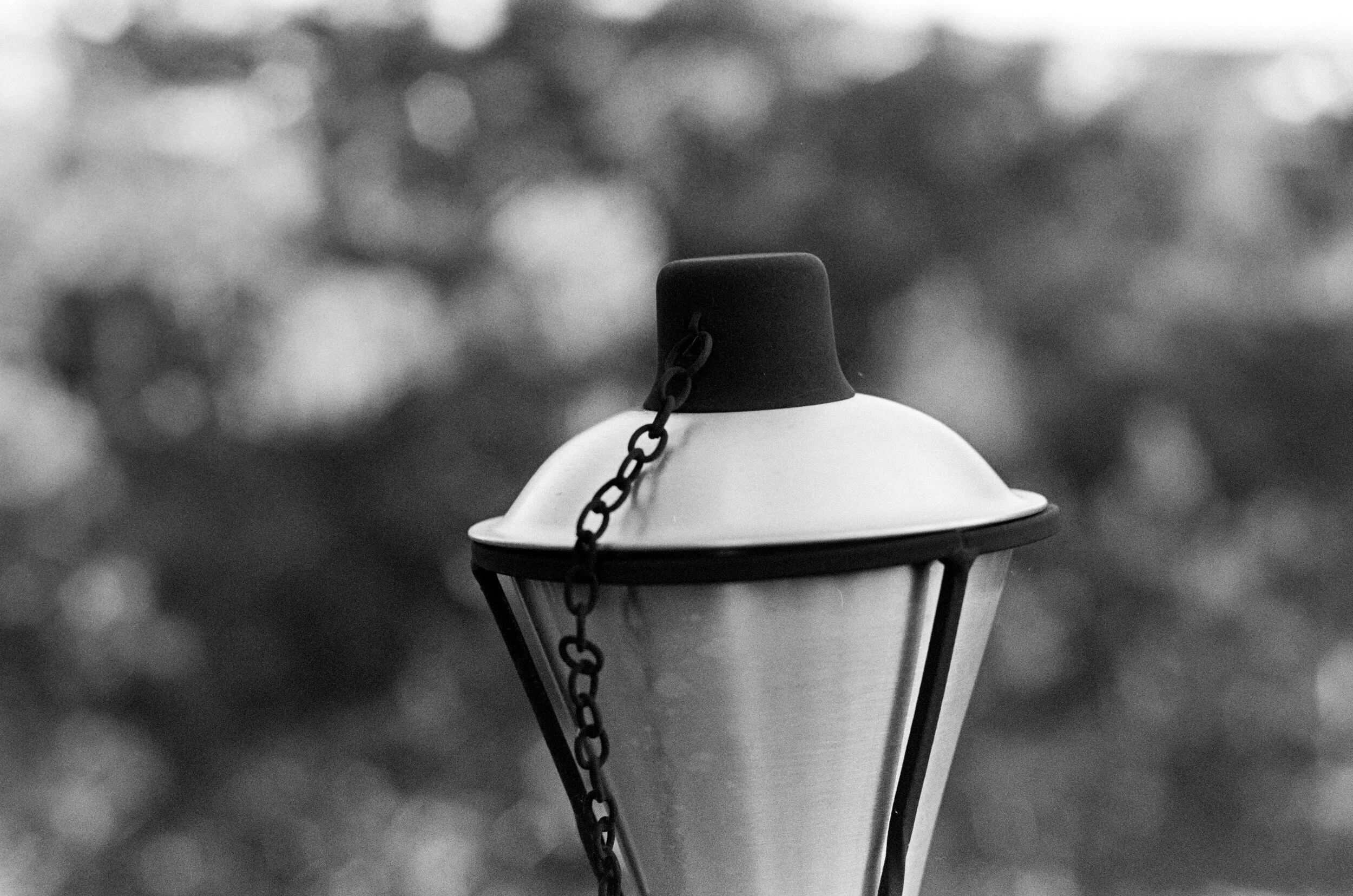 Fomapan 100 processed in EXG3 prototype v2