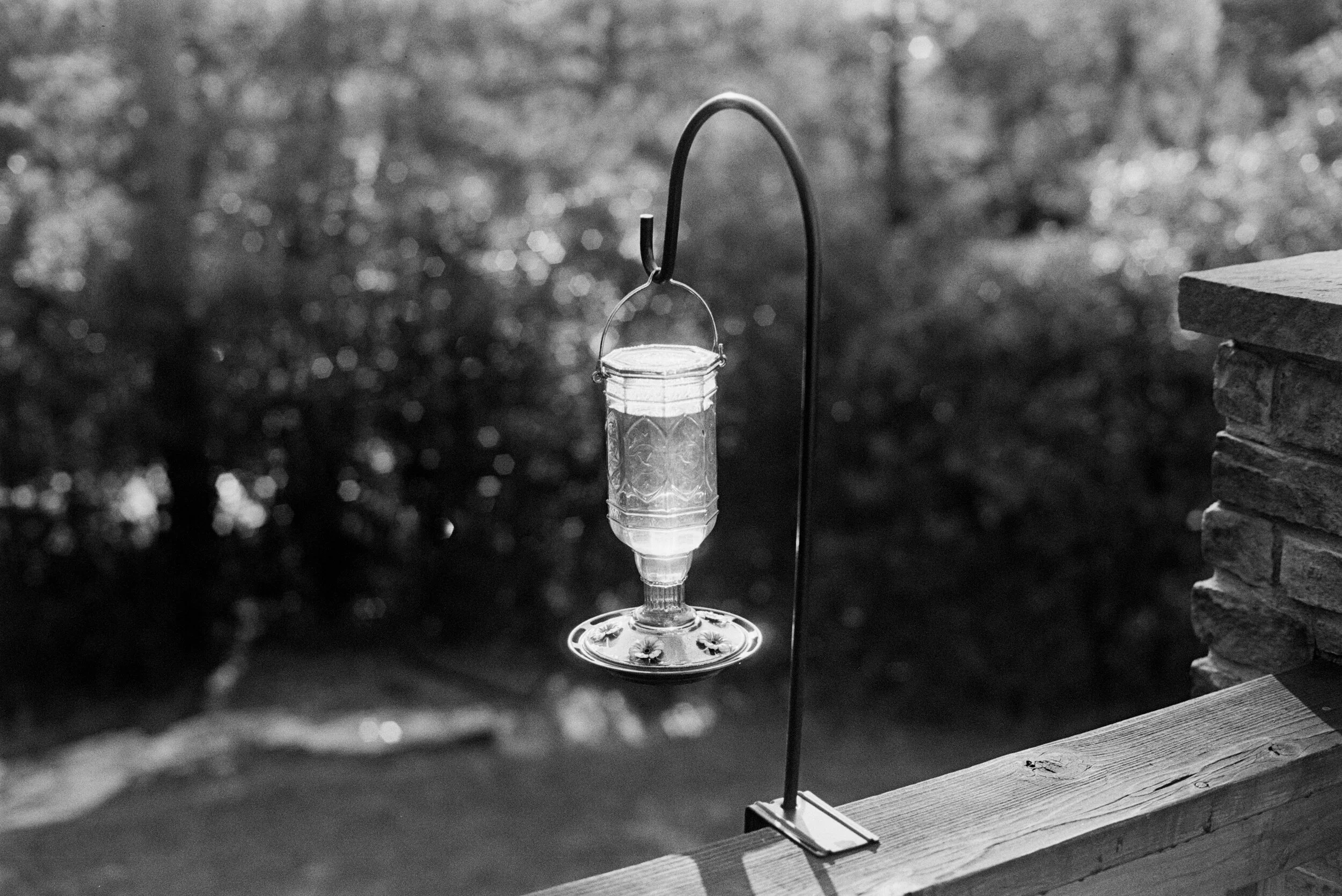 35mm Arista.EDU Ultra 100, box speed, EXG3 11m