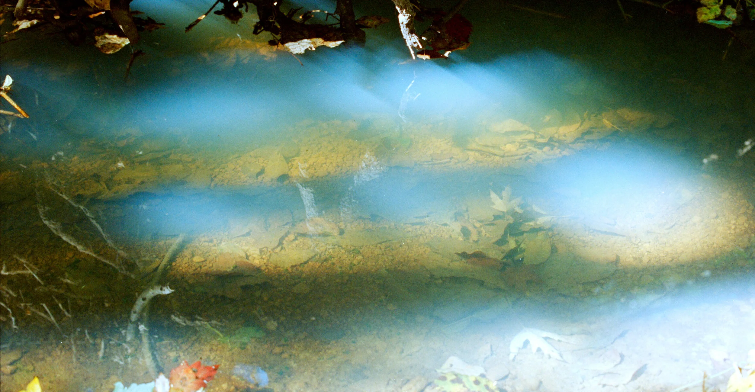 Kodak 250D, cropped
