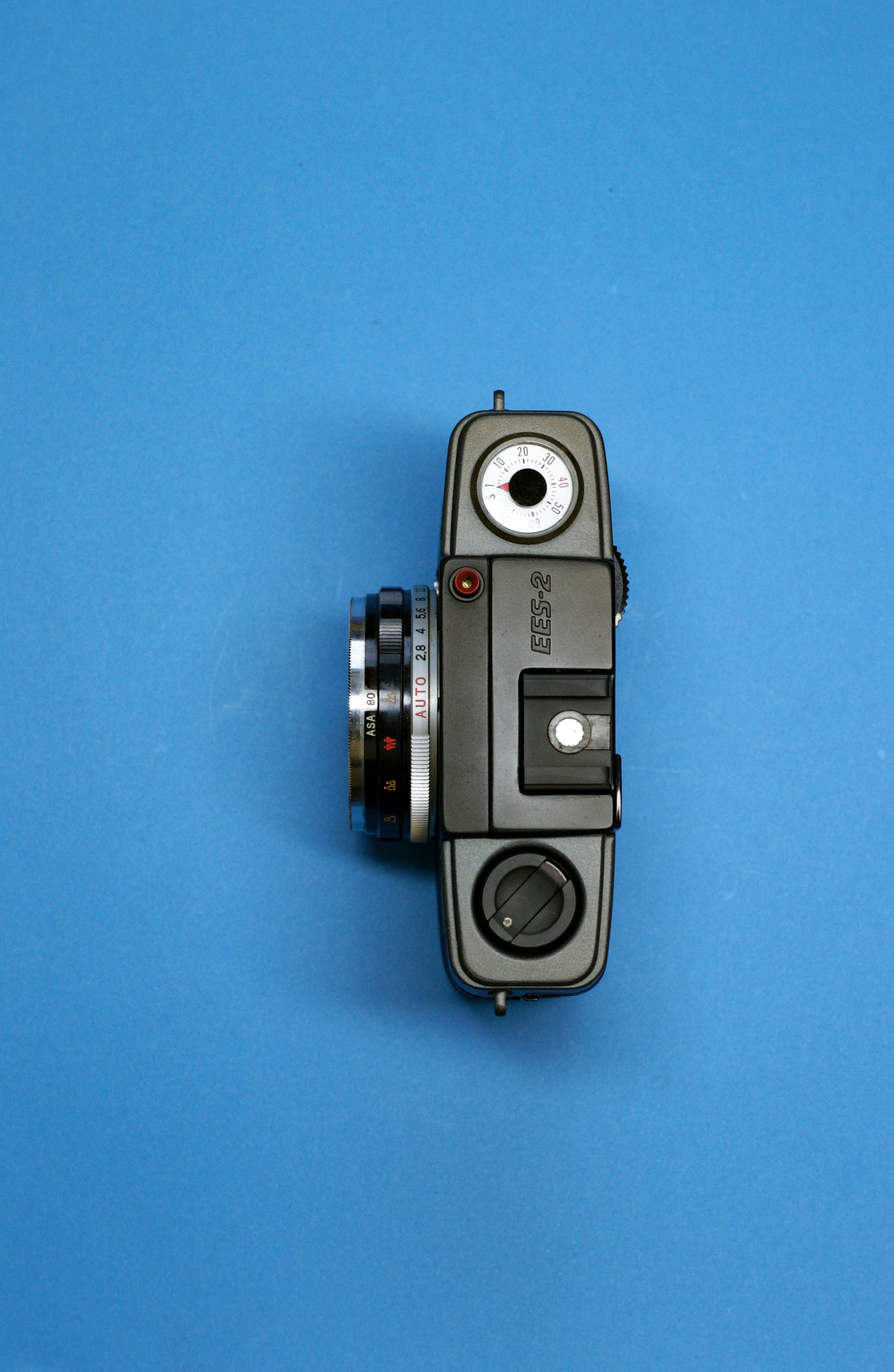 WI8H9472.jpg