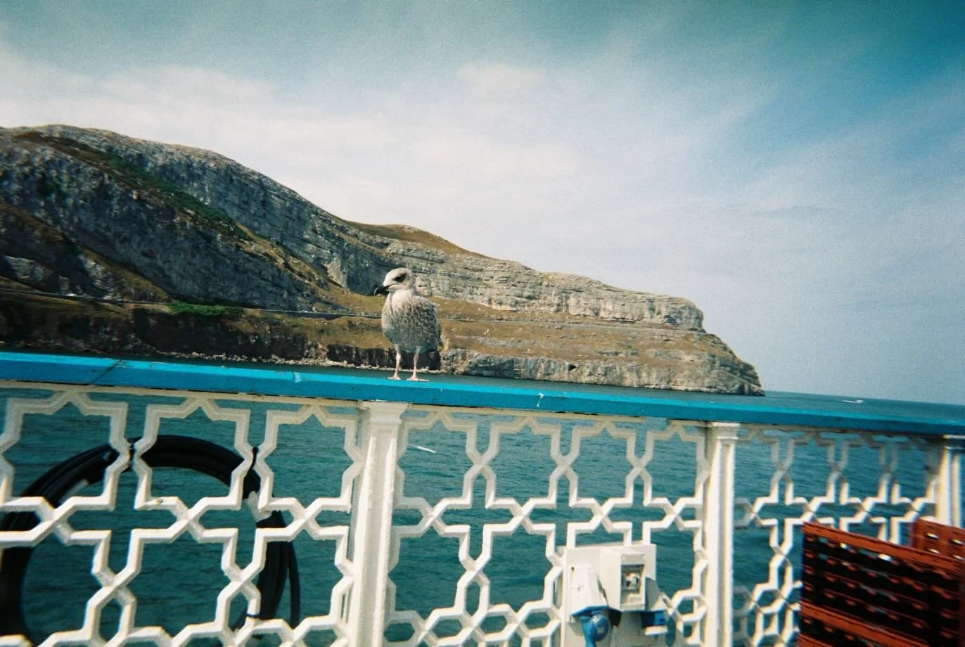 What happens when @reveriewithgee and @_rich_davis_ go on a family holiday and give their son a camera to have a play with 📸 

Such lovely shots by Theo, aged 8 🤩