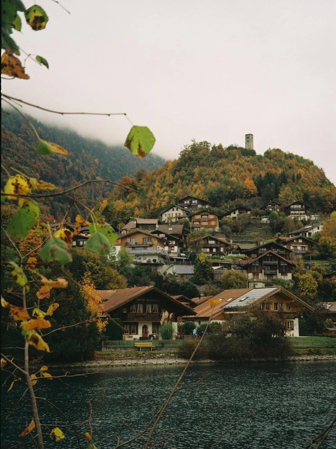 Some lovely shots taken by @alicewfilms on a recent trip to Switzerland 🇨🇭 

📷 Canon Sure Shot point and shoot 
🎞️ Fujifilm 200