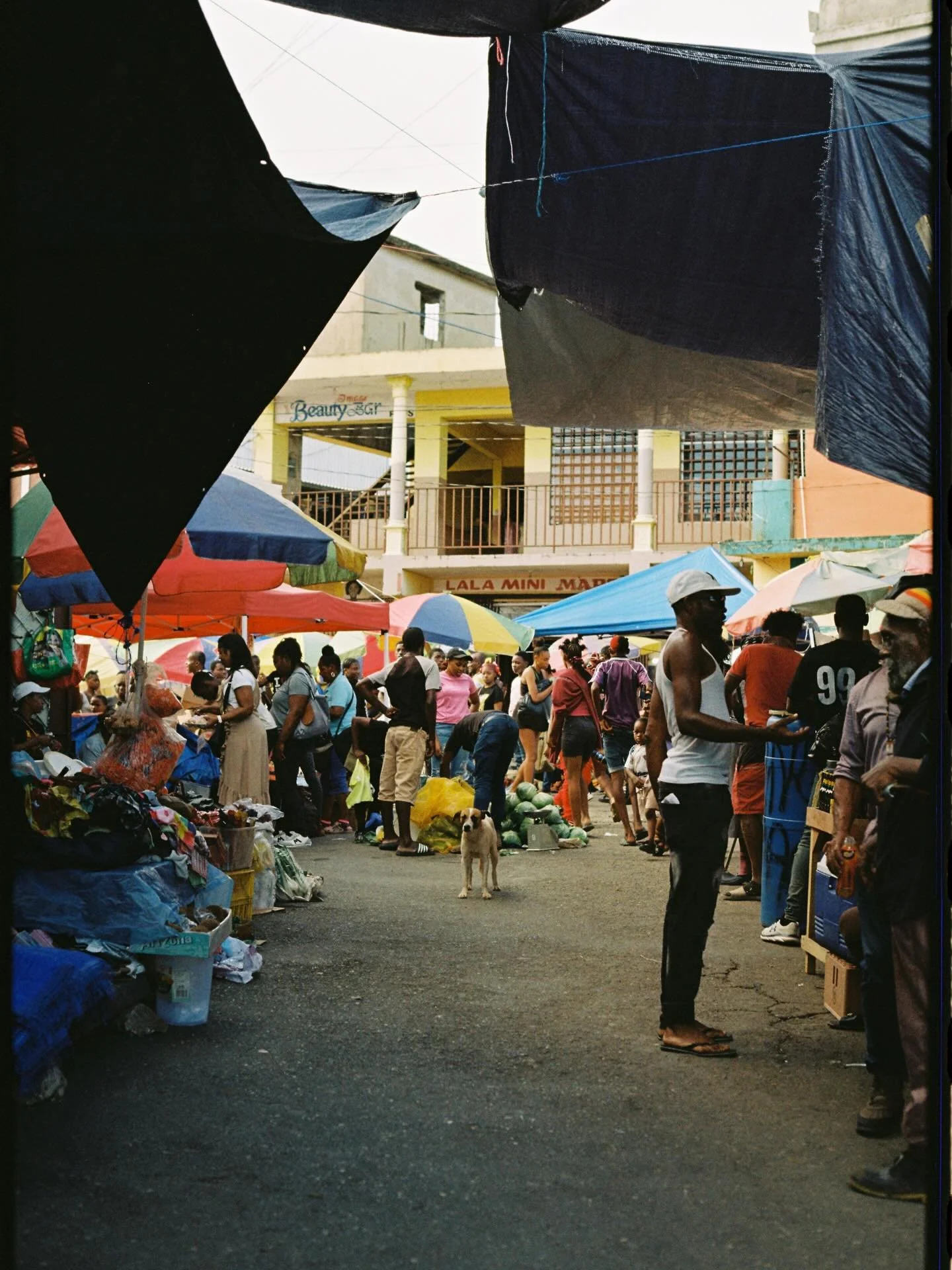Some great images capture by @2punq from a roll we developed + scanned this week 
 
🎞️ Canon AE-1 
📷 Kodak Colorplus

#pppfilmlab #fujifilm #filmprocessing #keepfilmalive #kodak