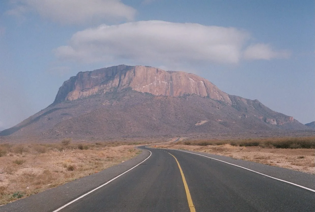 Some great images captured by @mnllei from a roll we dev + scanned last week 
 
🎞️ Kodak Portra 400 / Cinestill 800t 
📷 Canon AE-1 Program

#pppfilmlab #fujifilm #filmprocessing #keepfilmalive #kodak