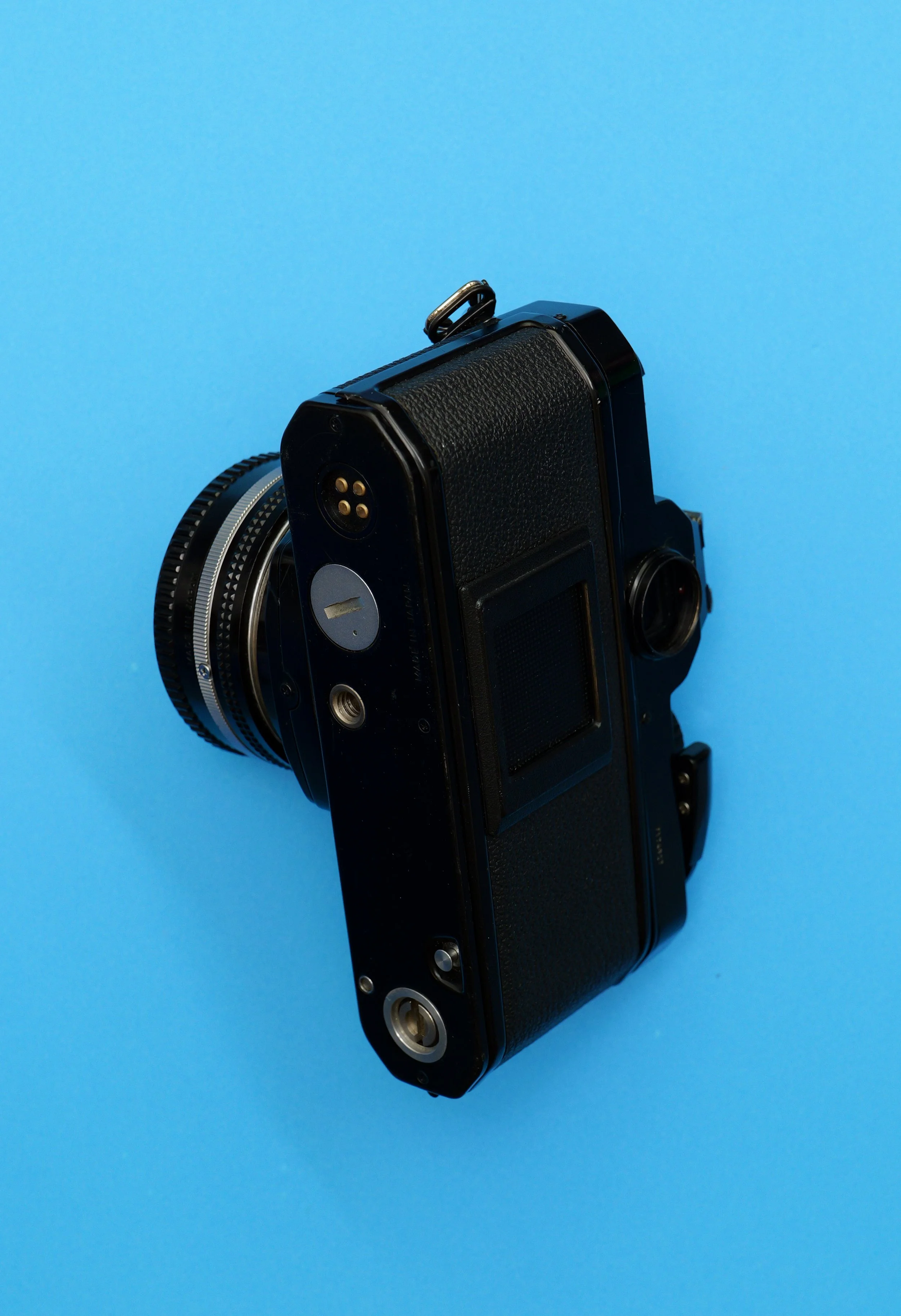 P1013500.jpg
