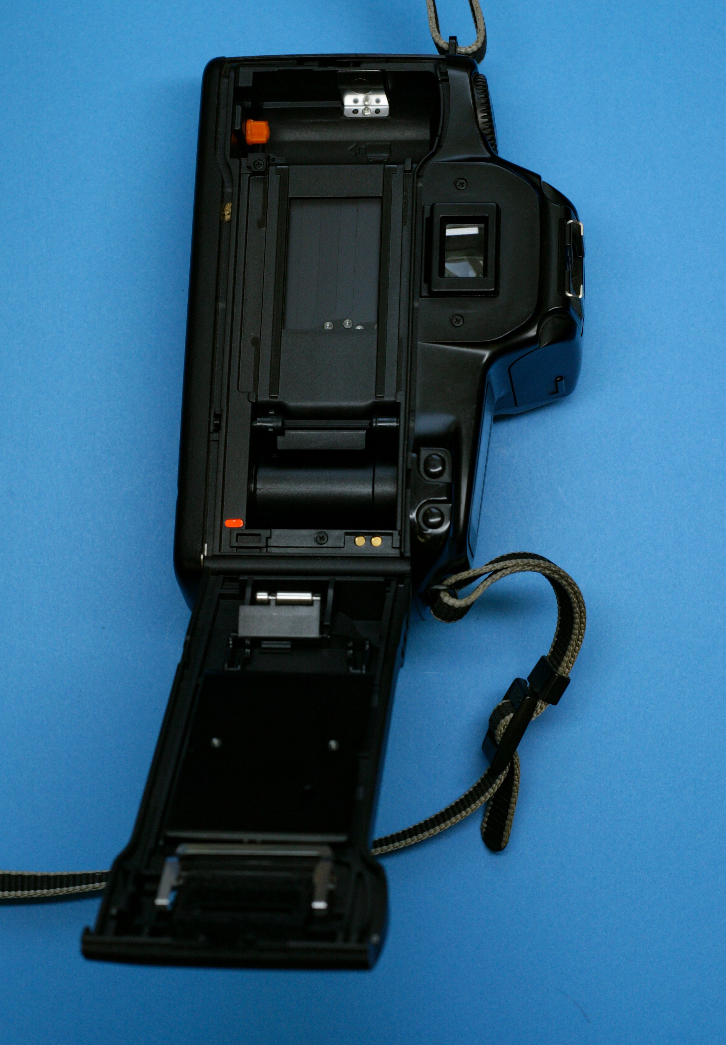 WI8H9875.jpg