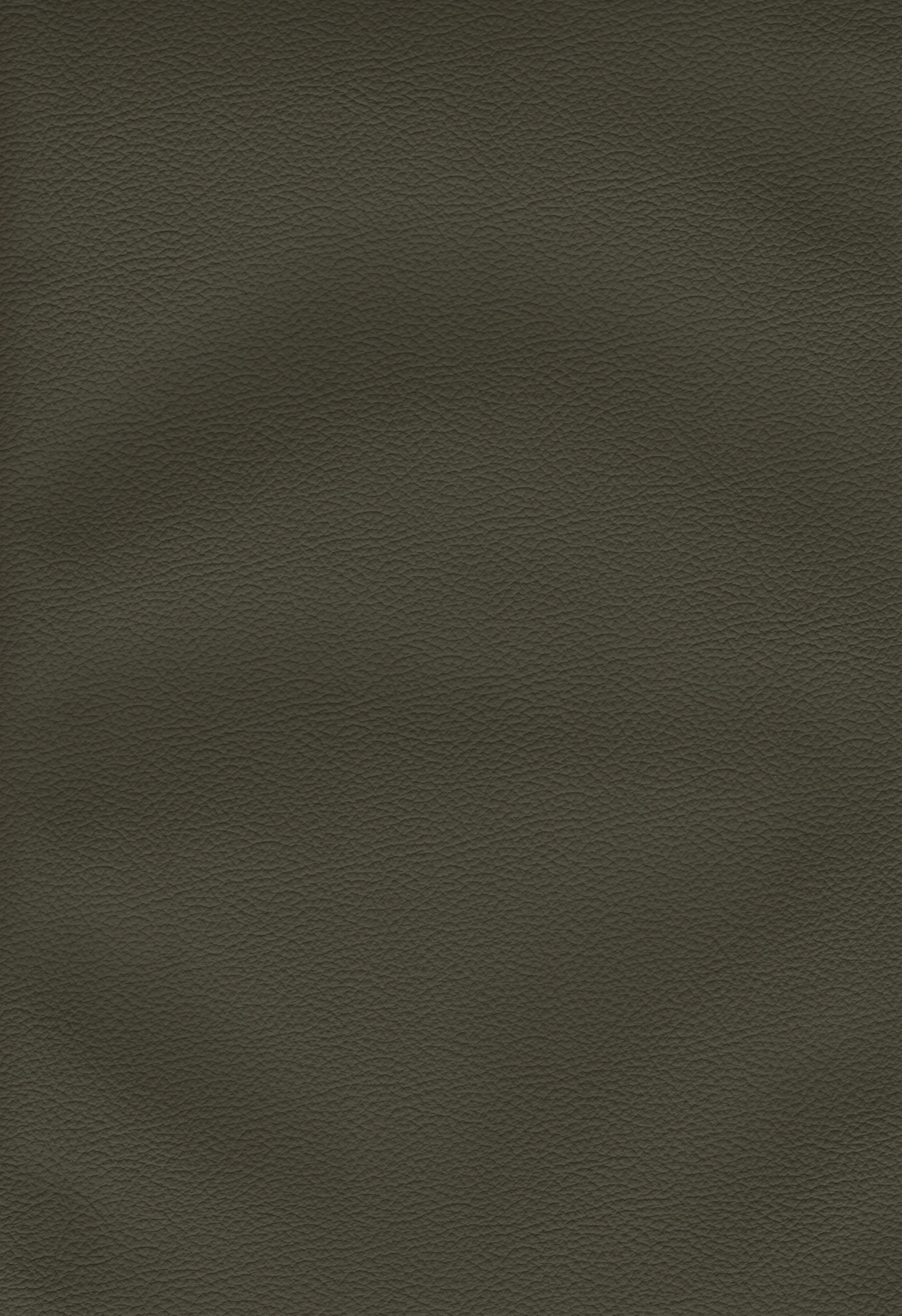 Olive green.jpg