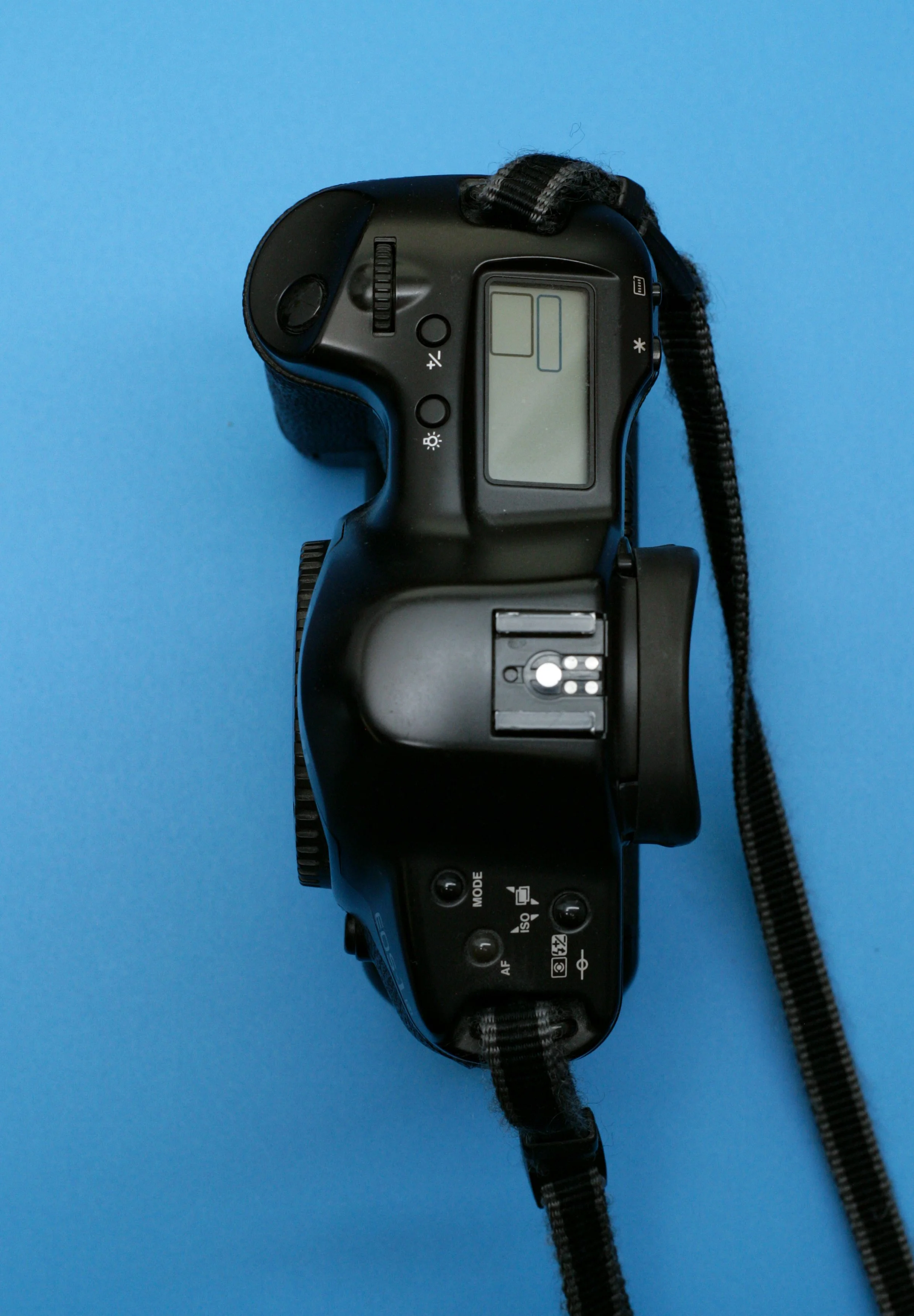 WI8H0577.jpg