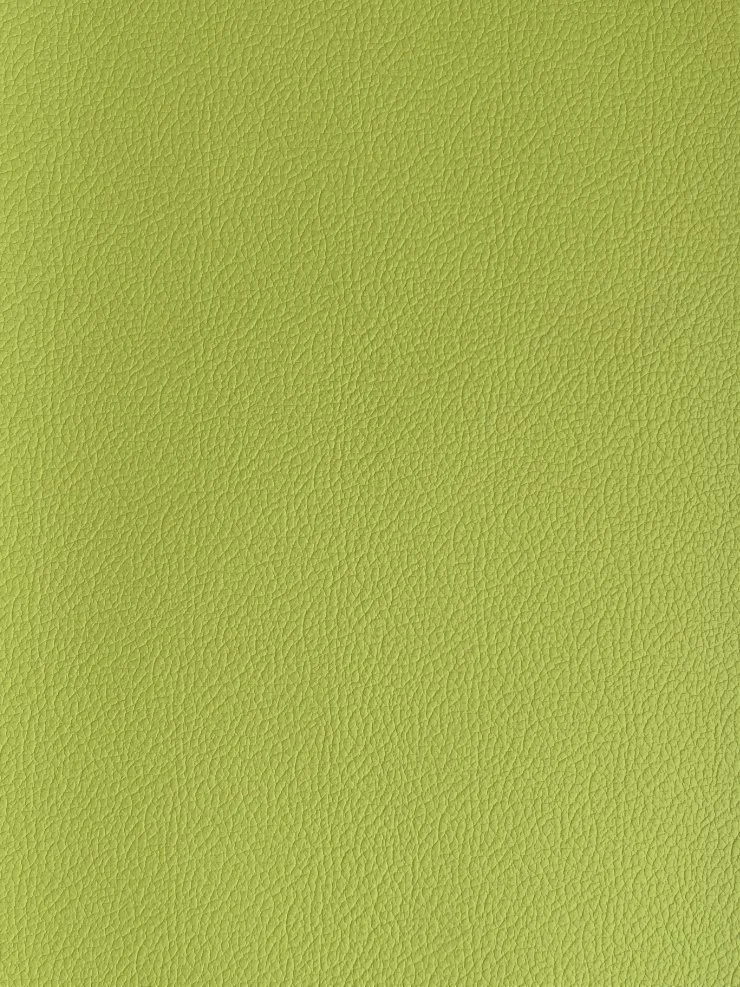 lime green.jpg