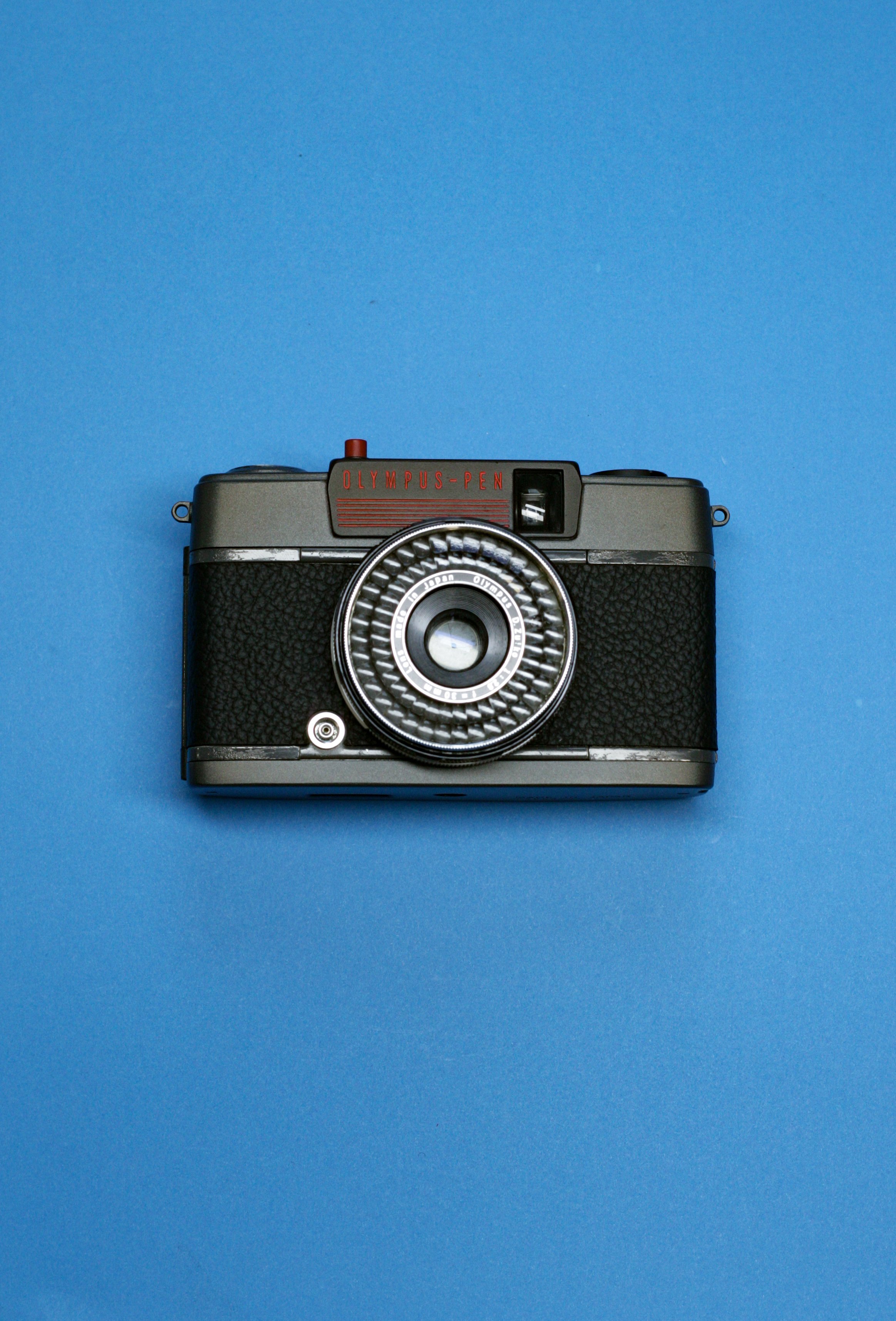 WI8H9471.jpg