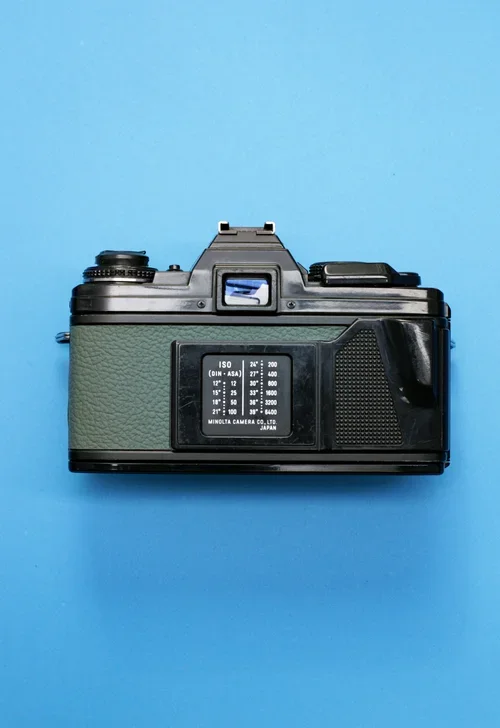 WI8H0865.webp
