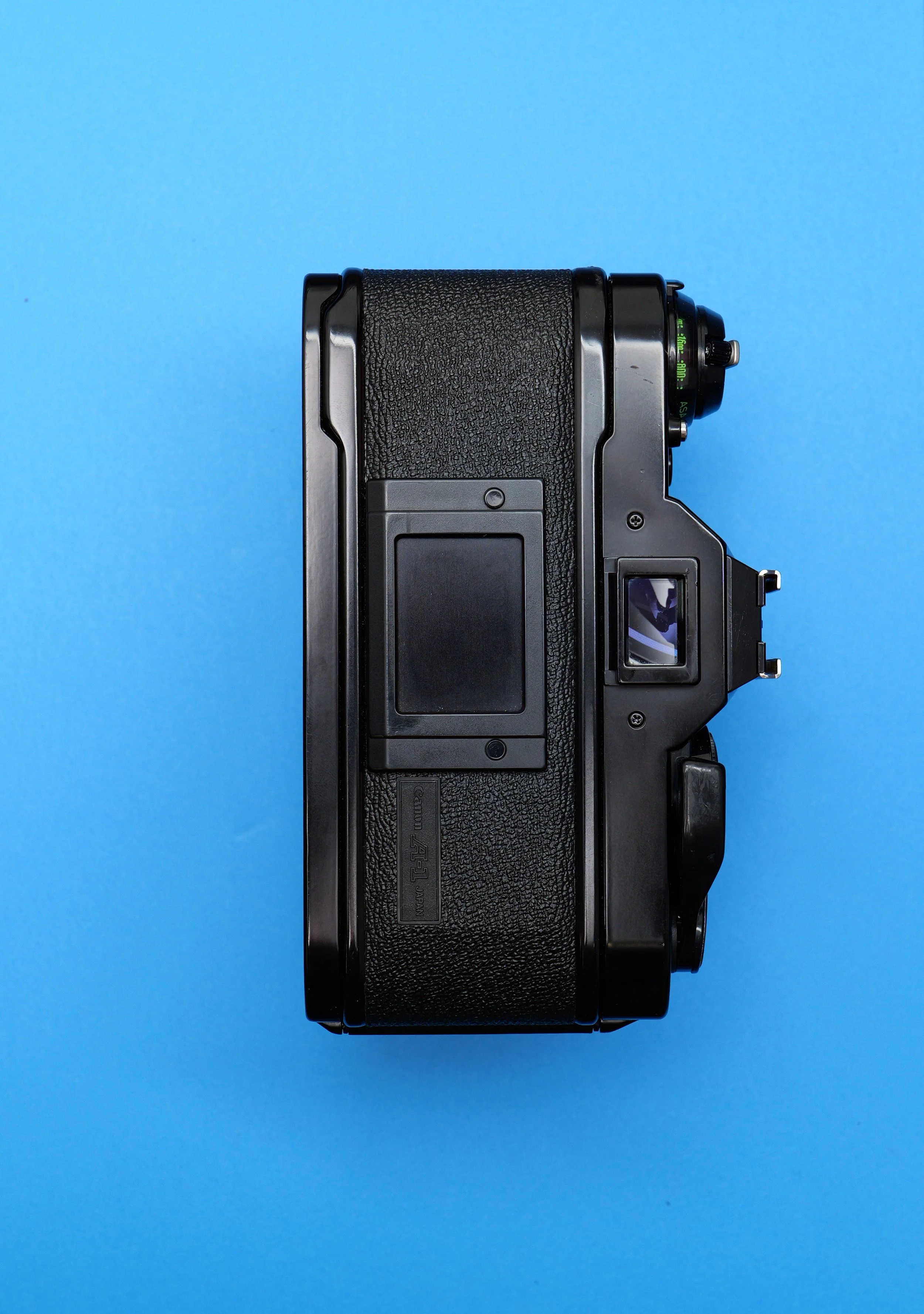P1013262.jpg