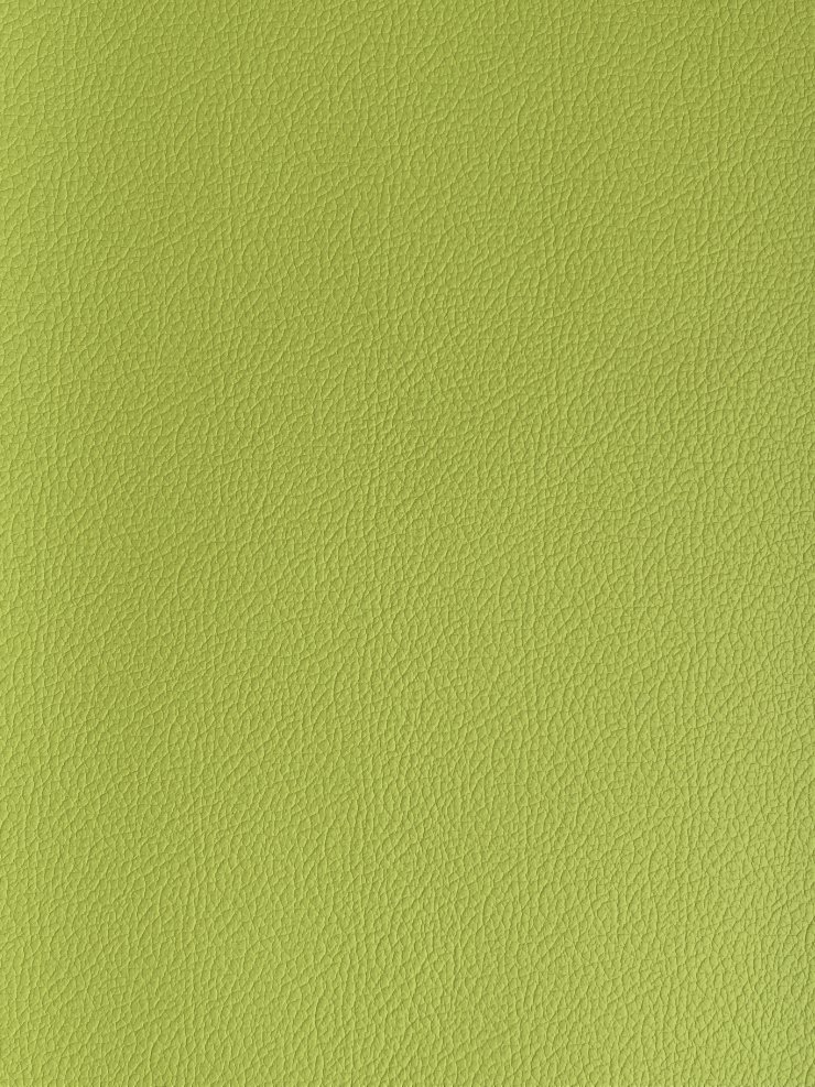 lime green.jpg