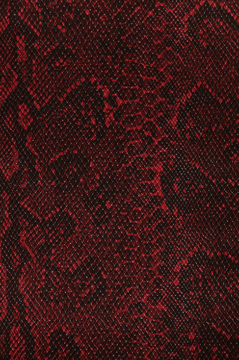 red_black_snake.png