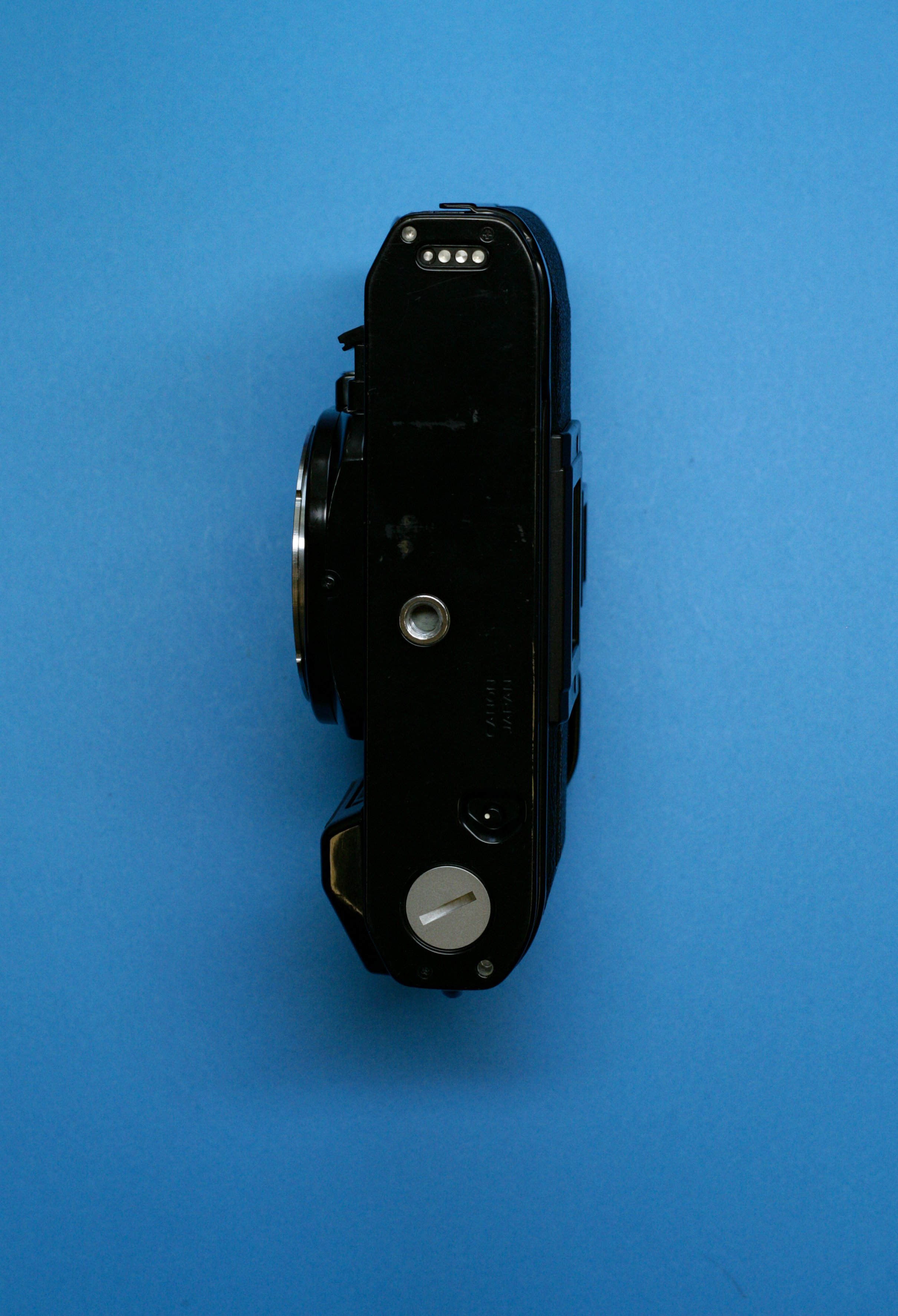 WI8H9878.jpg