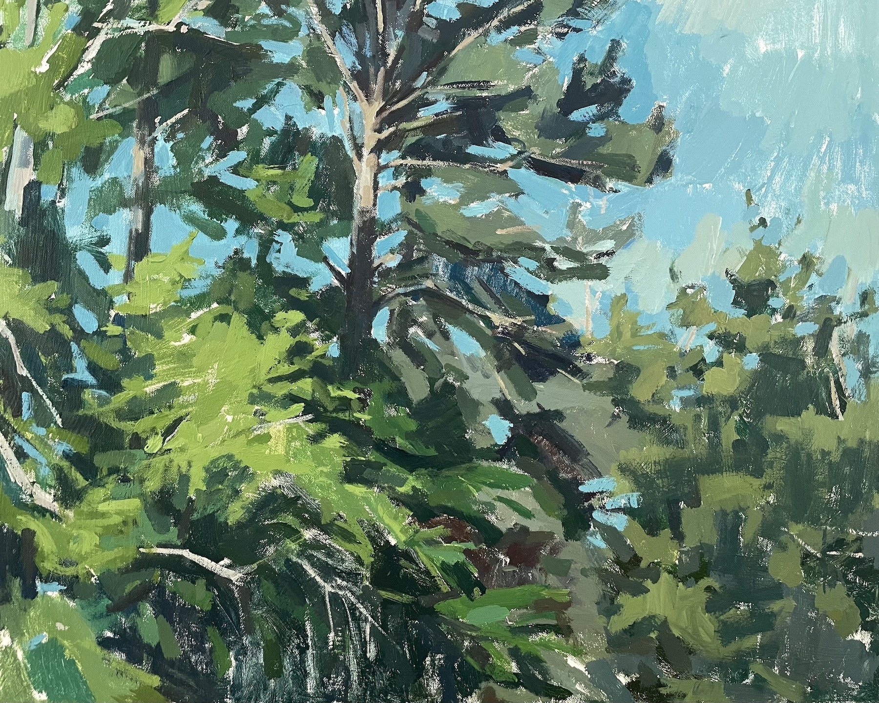 Light Pine