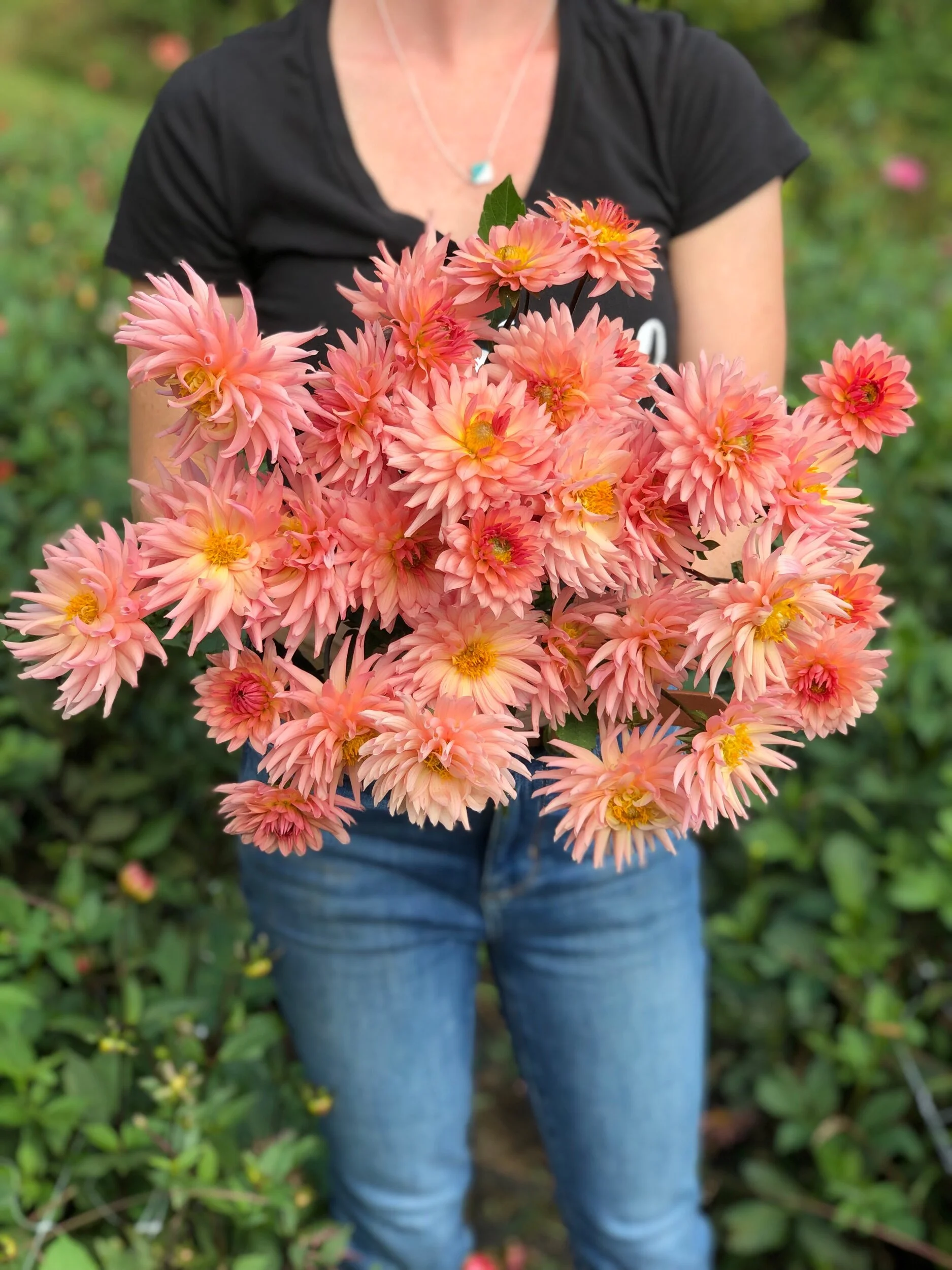 FFD3308D-C3A3-4E5C-AF27-A99CA1E44DBD