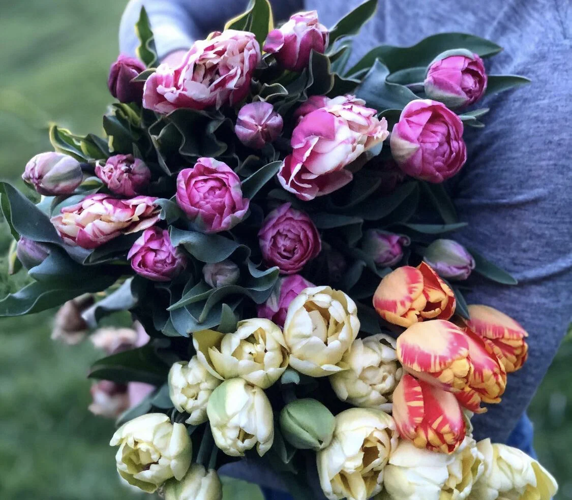 3112E4A5-DFD2-4BBC-9104-7E99403D76C6