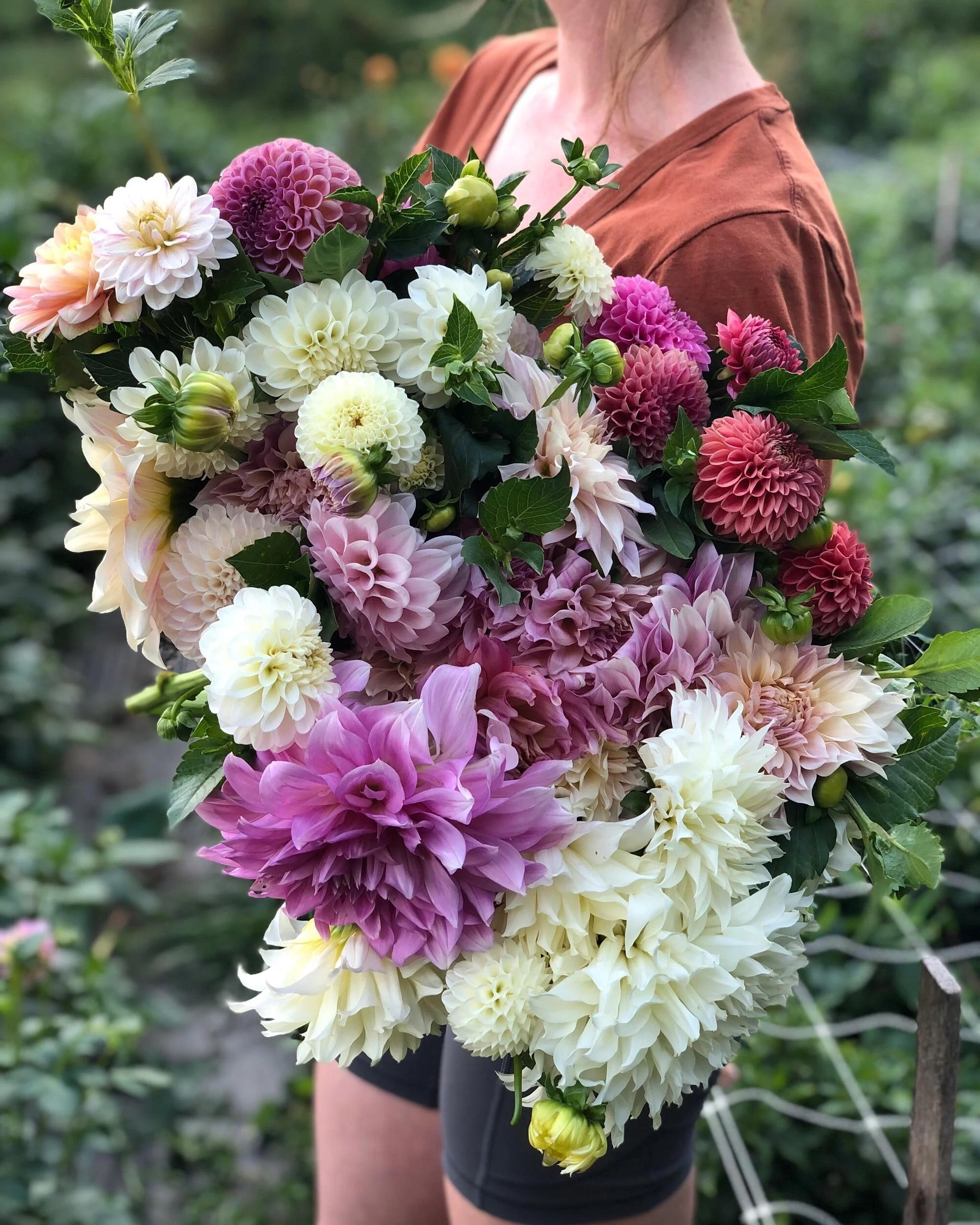 C93071A9-359B-4560-AAEE-3C5BBC5E9DA8