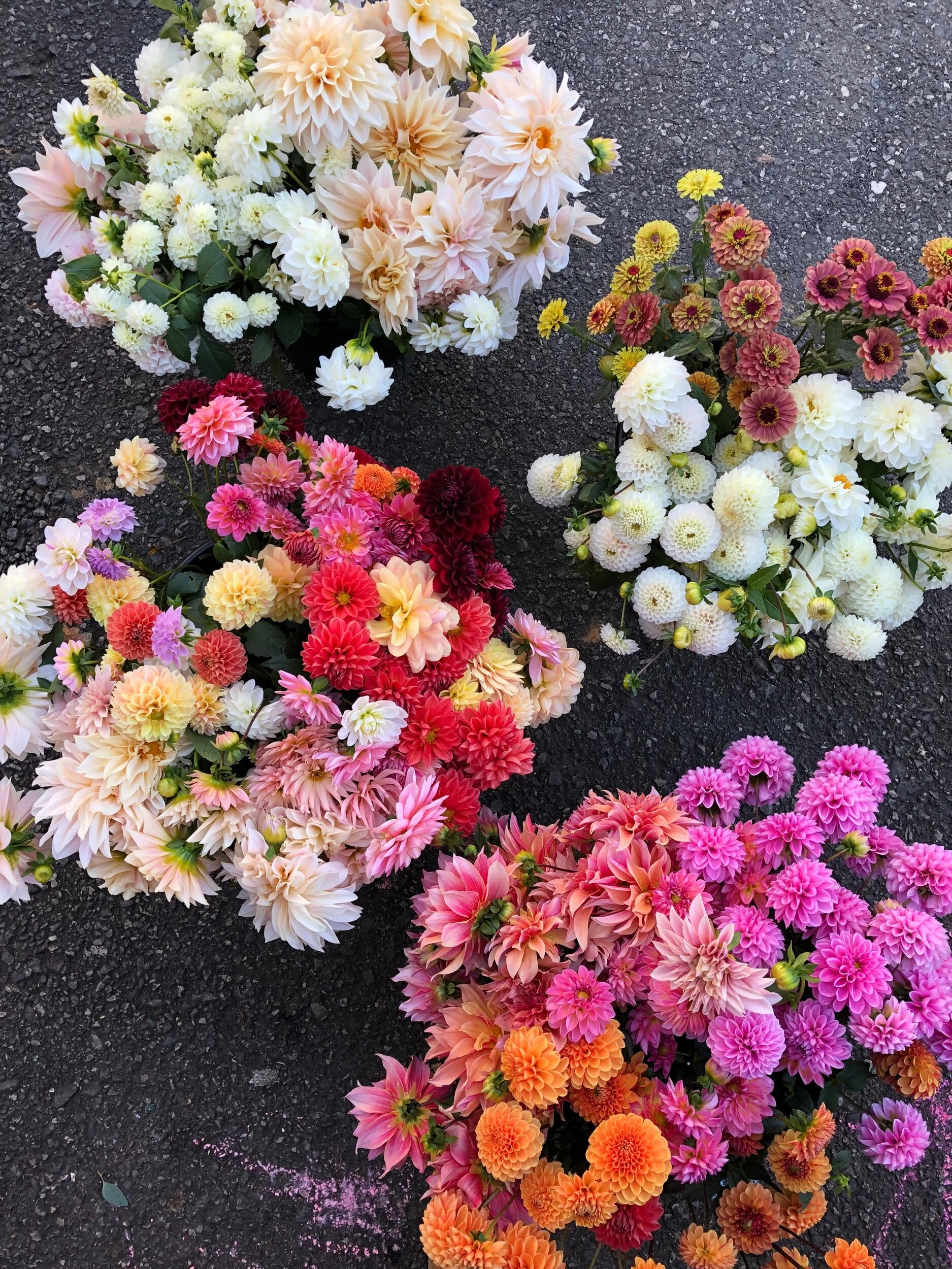 0693BB83-8BEE-4A82-8728-DA4EECD7AA4D