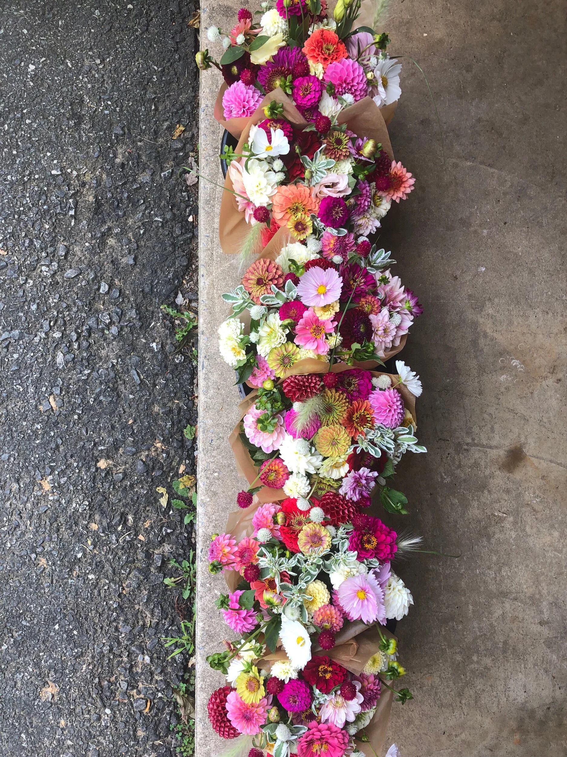 DEE5396F-FC73-41CD-89C4-D33893EB49F6